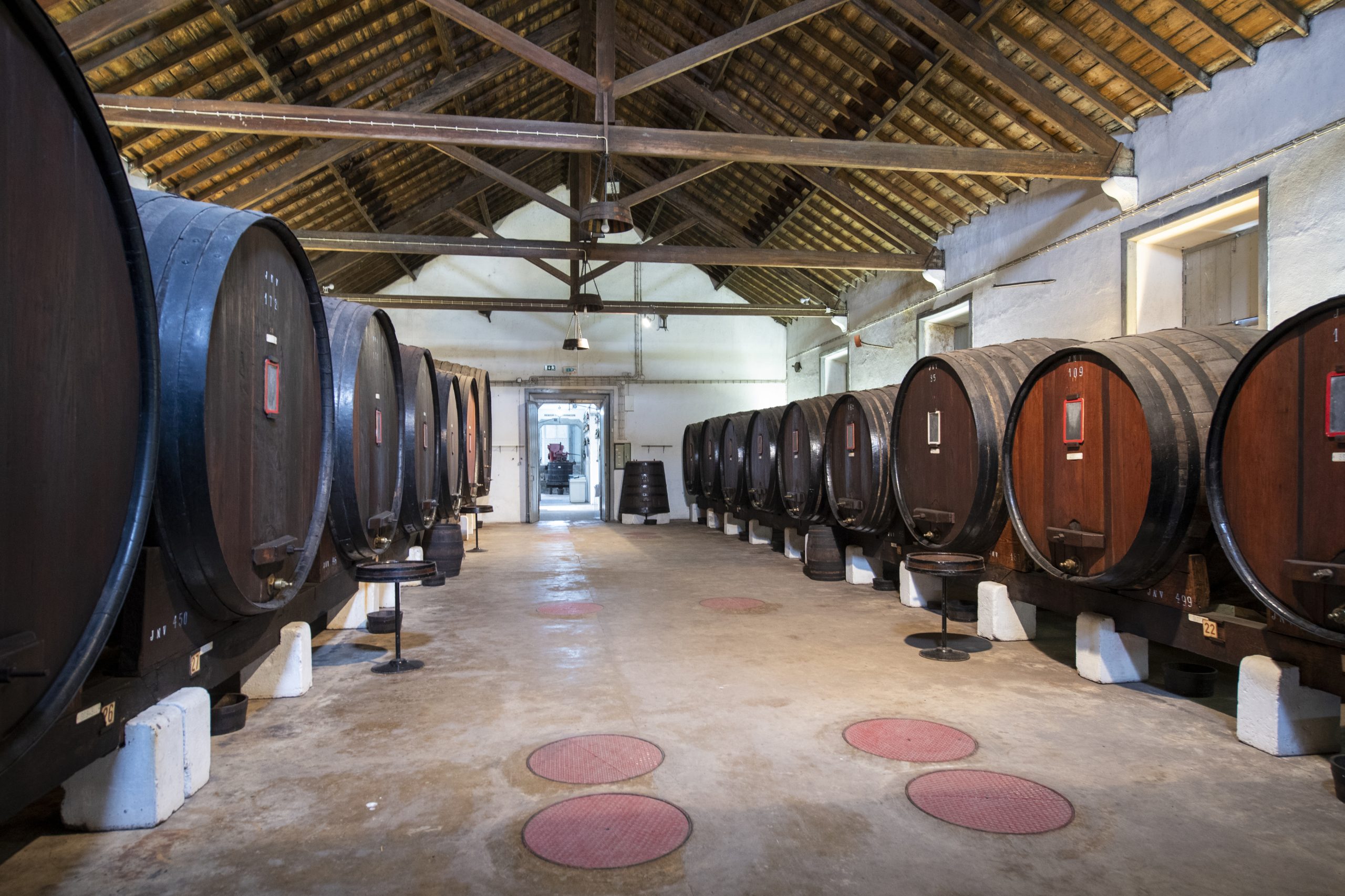 Os jovens já não gostam de vinho e a China olha para fora da Europa. E agora Portugal?