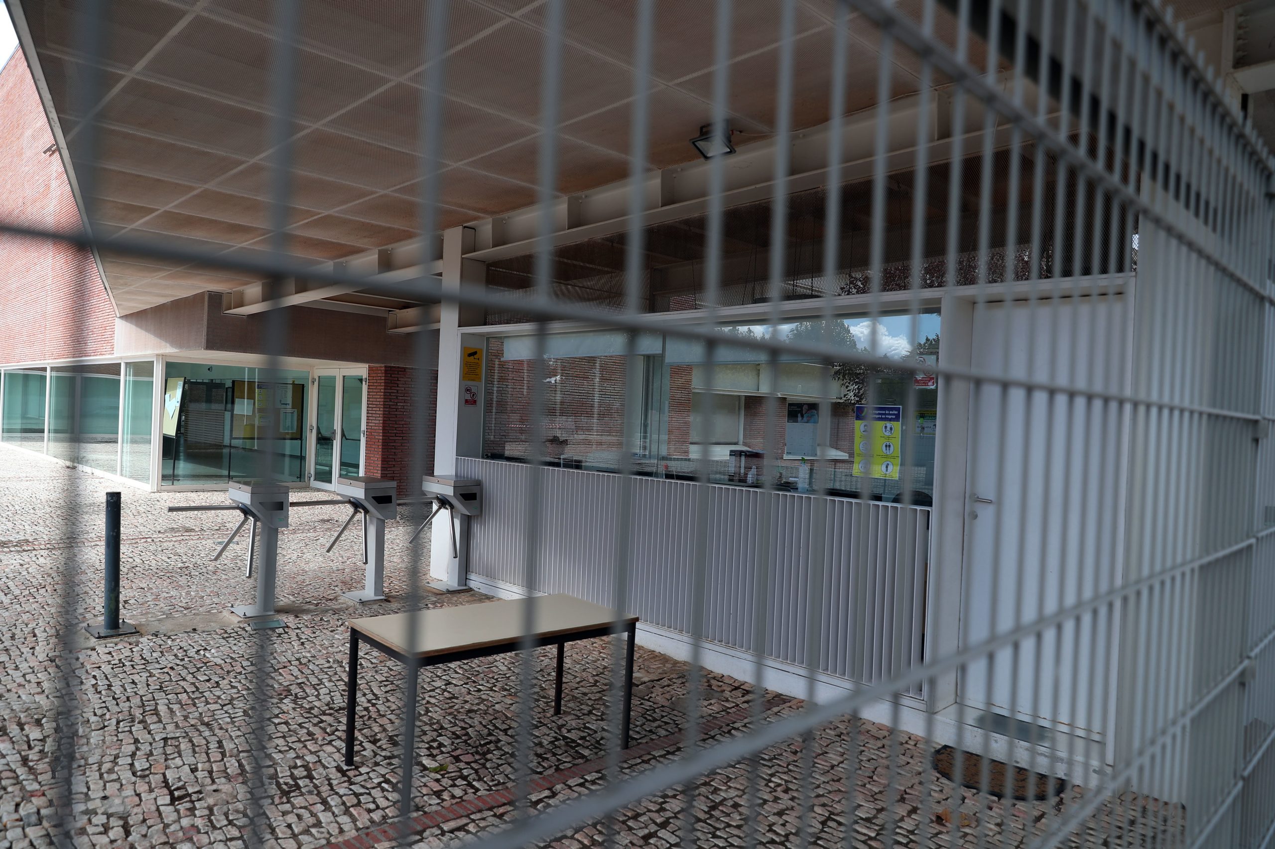 Covid-19: Sociedade Portuguesa de Pediatria pede reabertura urgente das escolas