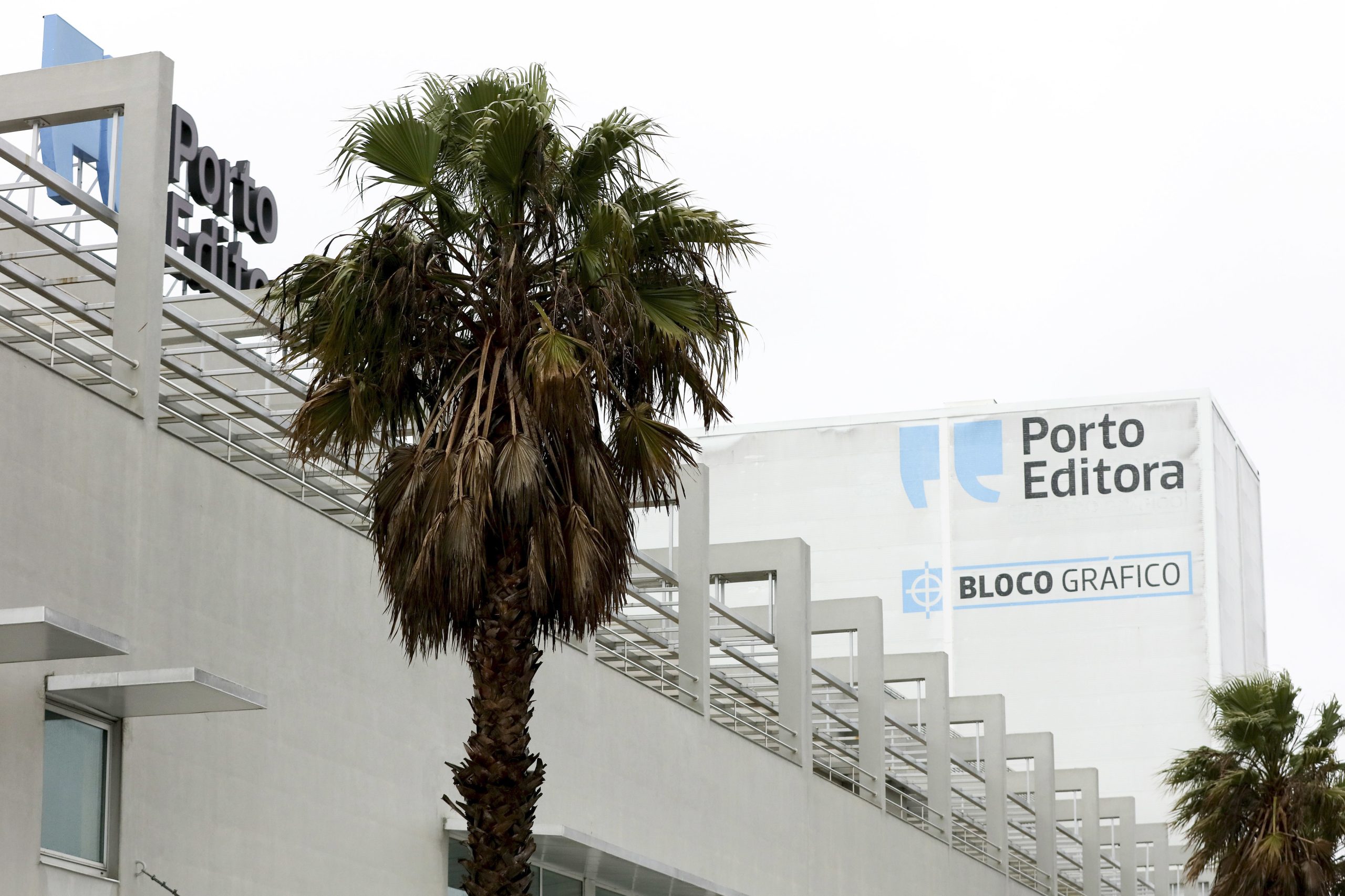 Comissão moçambicana responsabiliza Porto Editora por “erros graves” em livro do ensino primário