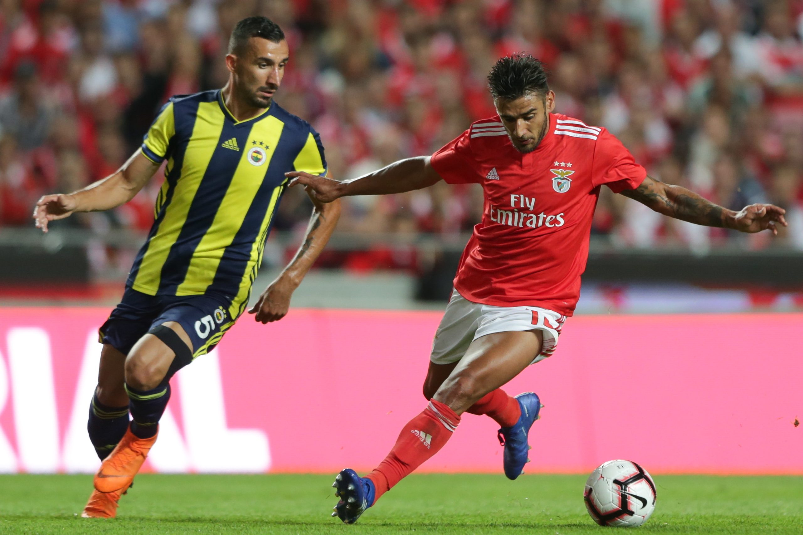 Benfica acredita em desfecho positivo na renovação de Salvio