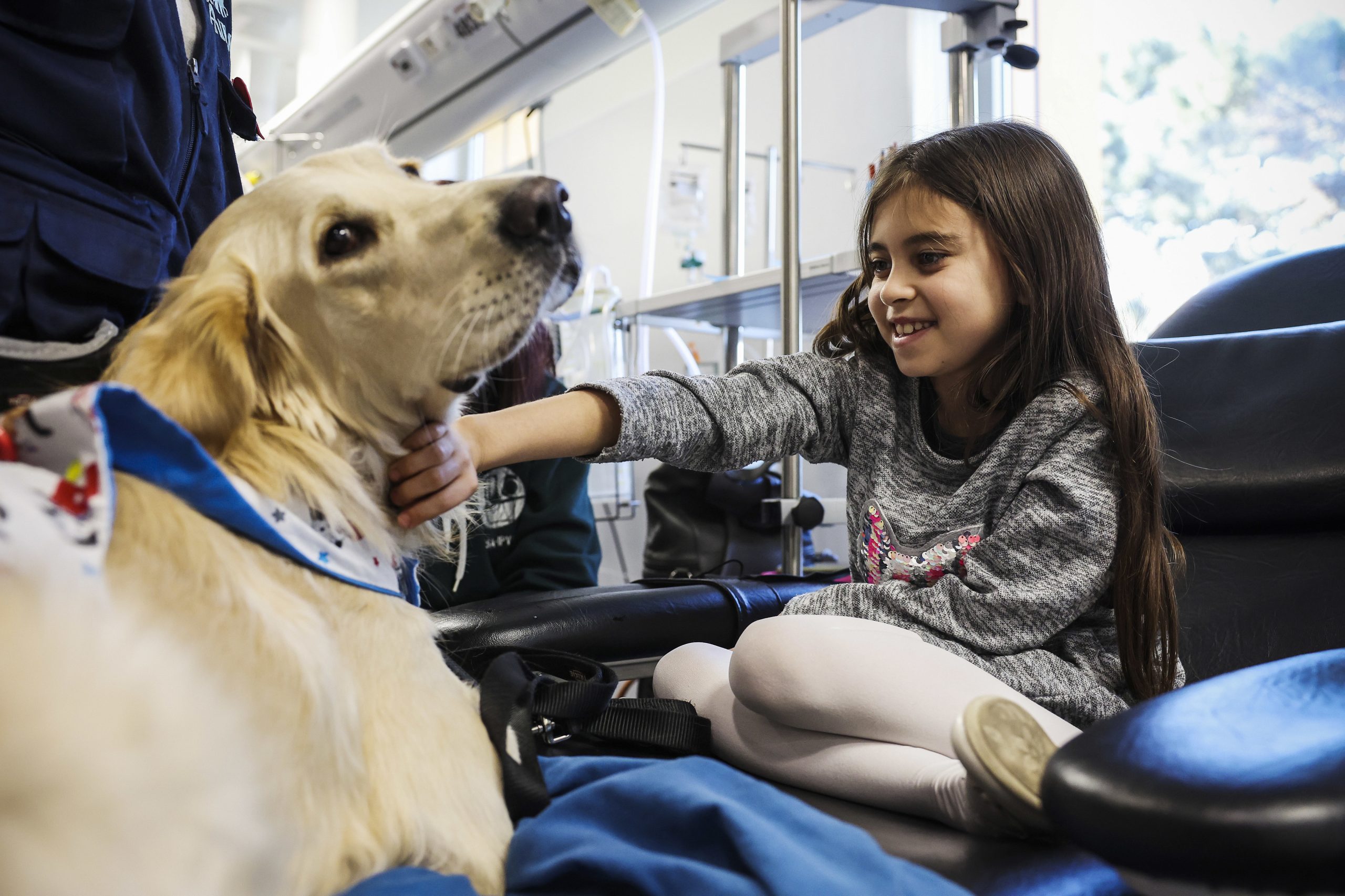 Dar festas a Zazu é como fazer uma sesta de 20 minutos. Como os cães de terapia estão a mudar o hospital S. João