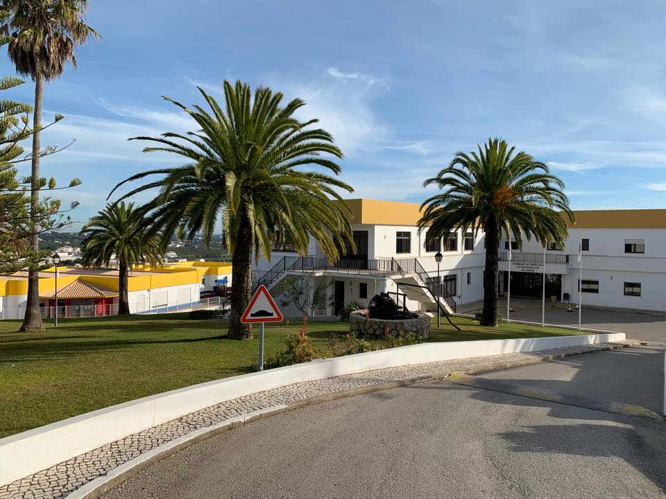 Idosa coberta de formigas e com ferida aberta em lar no Algarve. Morreu um mês depois