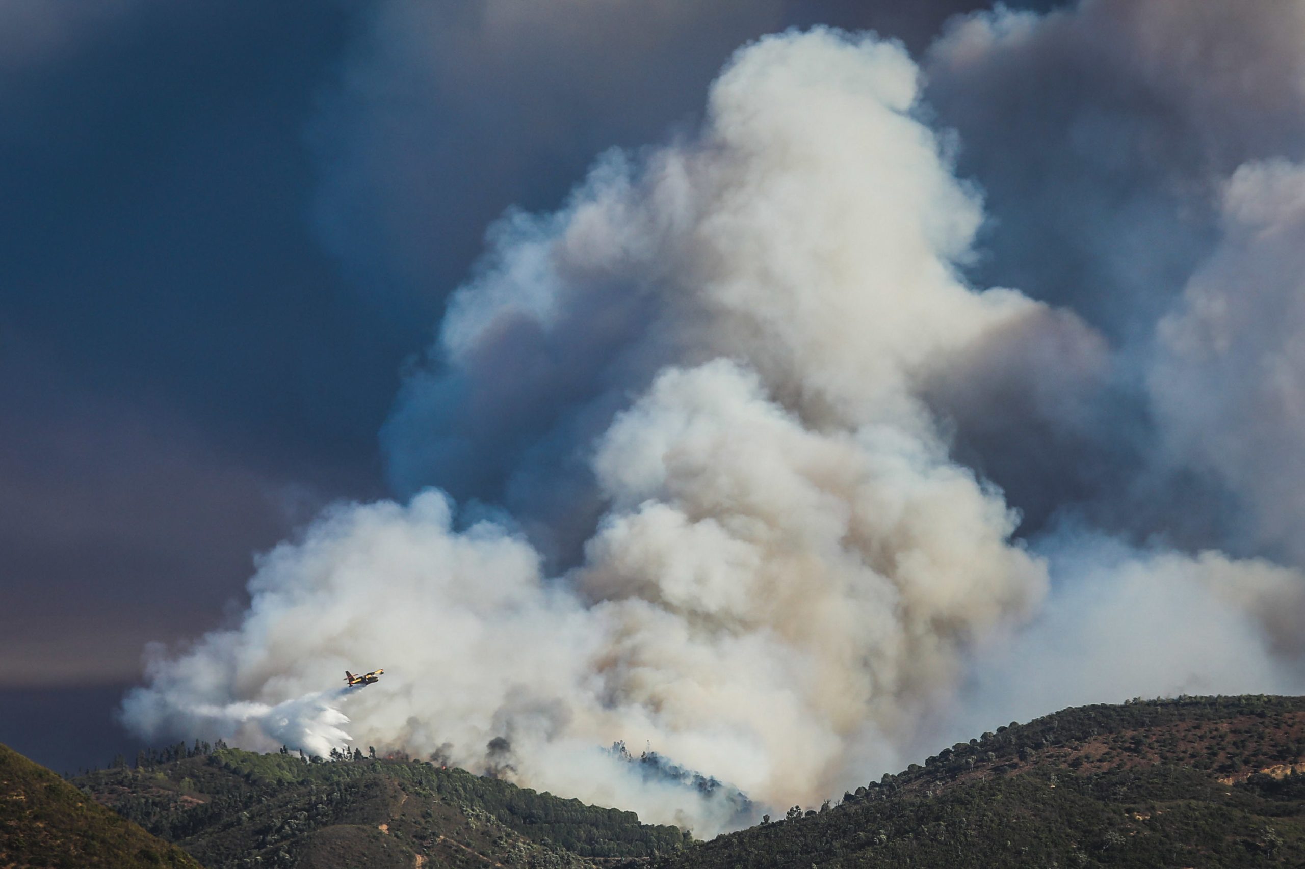 Homem de 43 anos detido pela PJ suspeito de atear incêndios em Sardoal