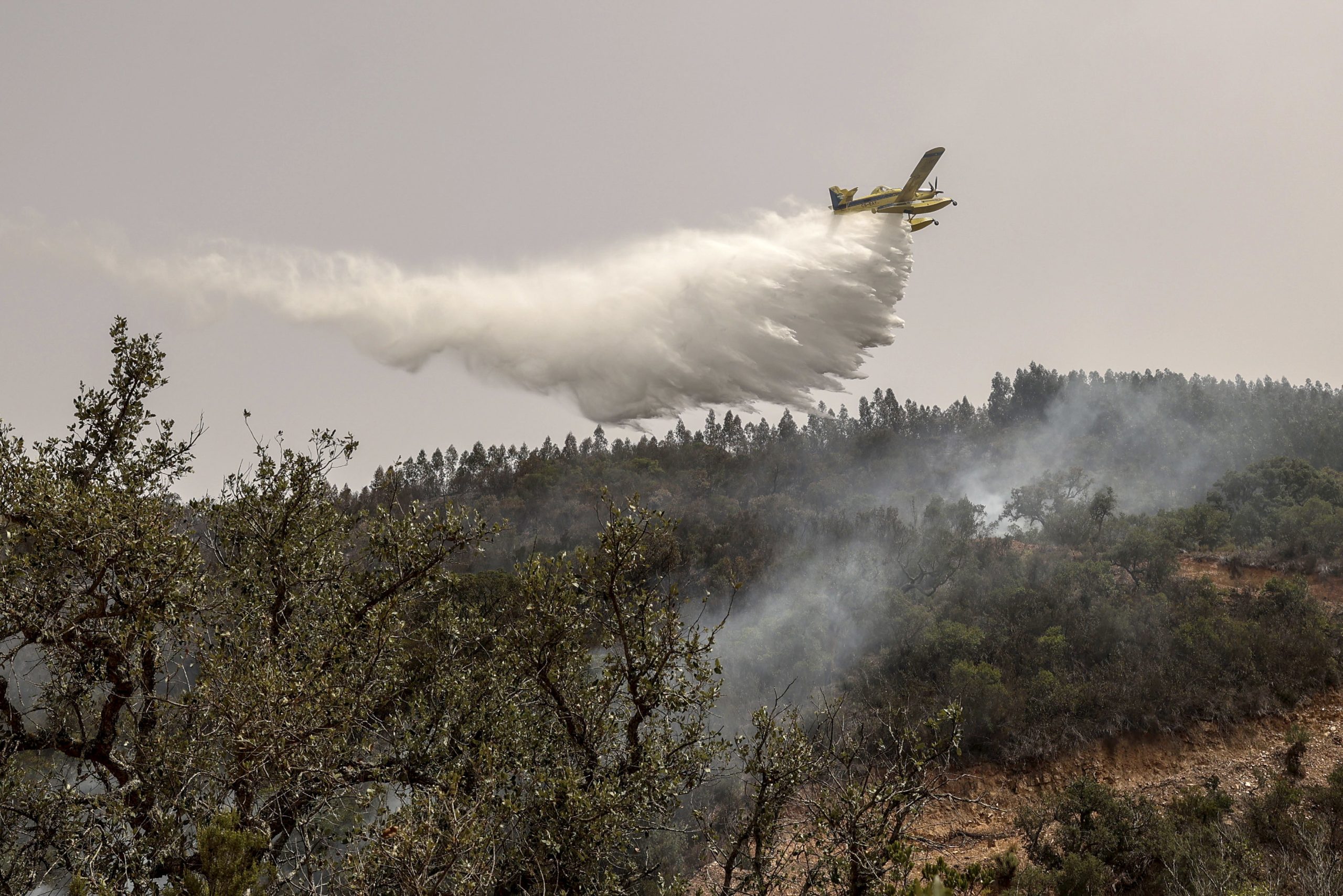 Oito concelhos de Faro em perigo máximo de incêndio rural