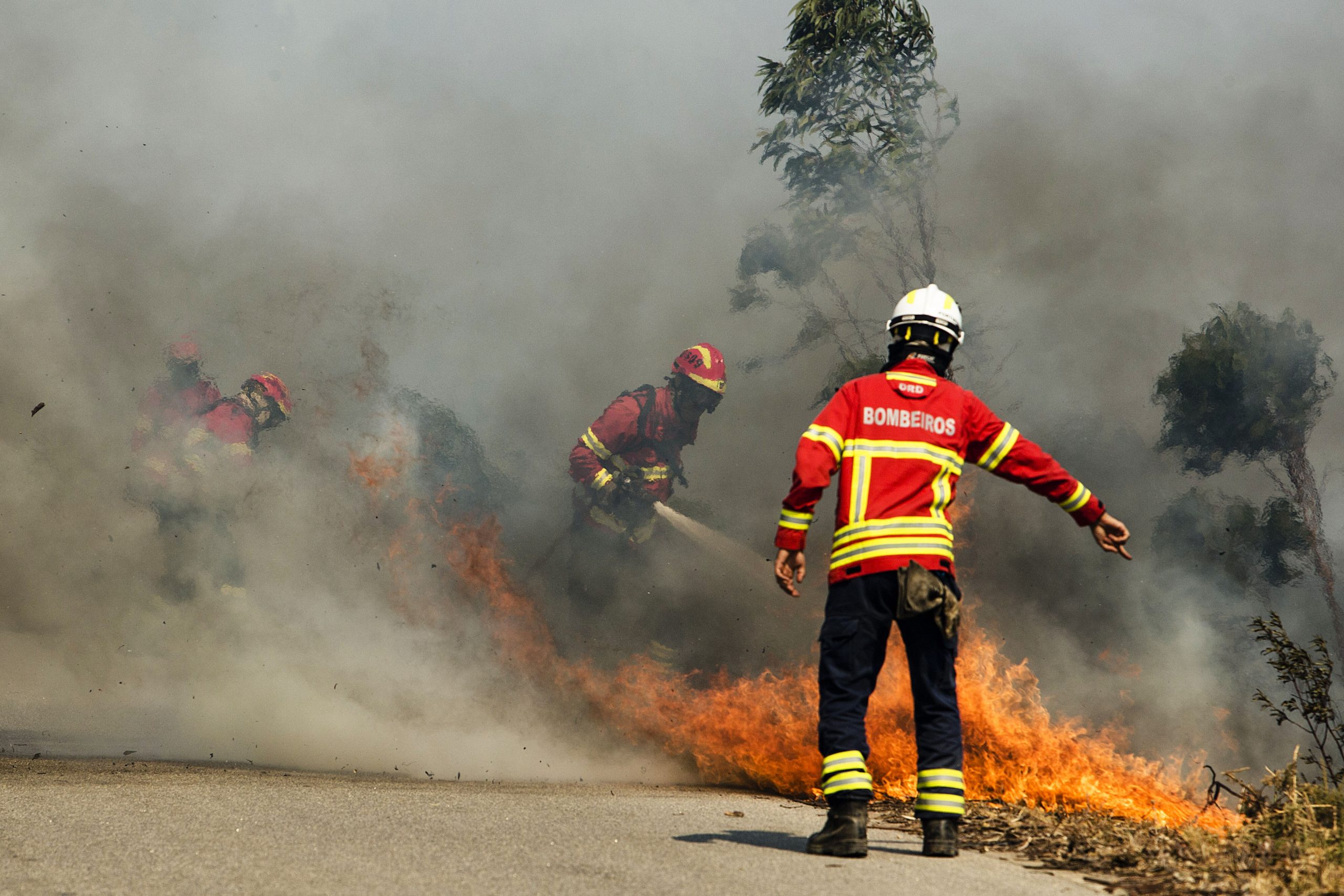 Castelo Branco e Santarém são os distritos que mais preocupam em dia com 104 ocorrências de incêndios