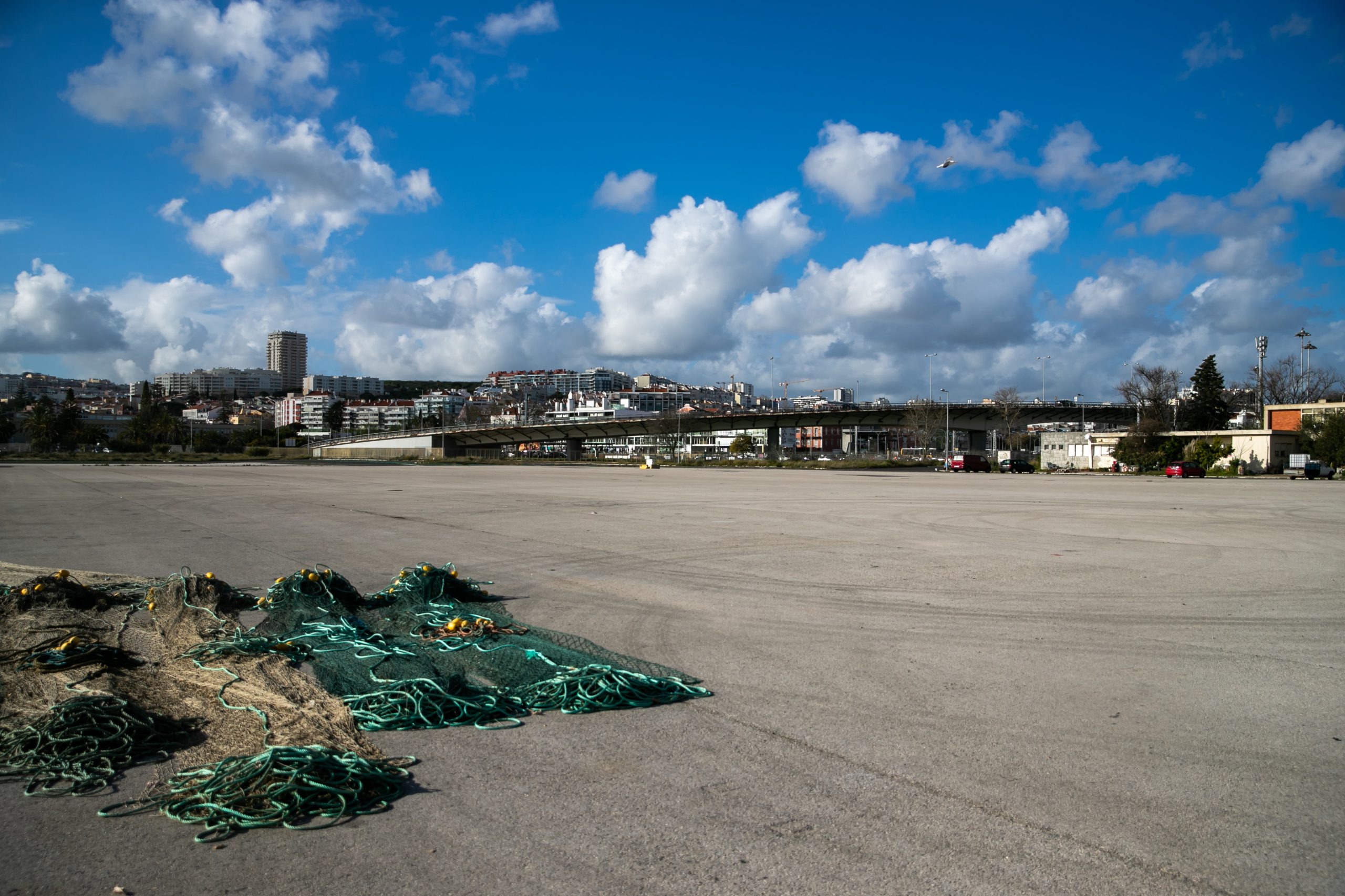Armadores e pescadores contra despejos e sem alternativa no porto de Lisboa