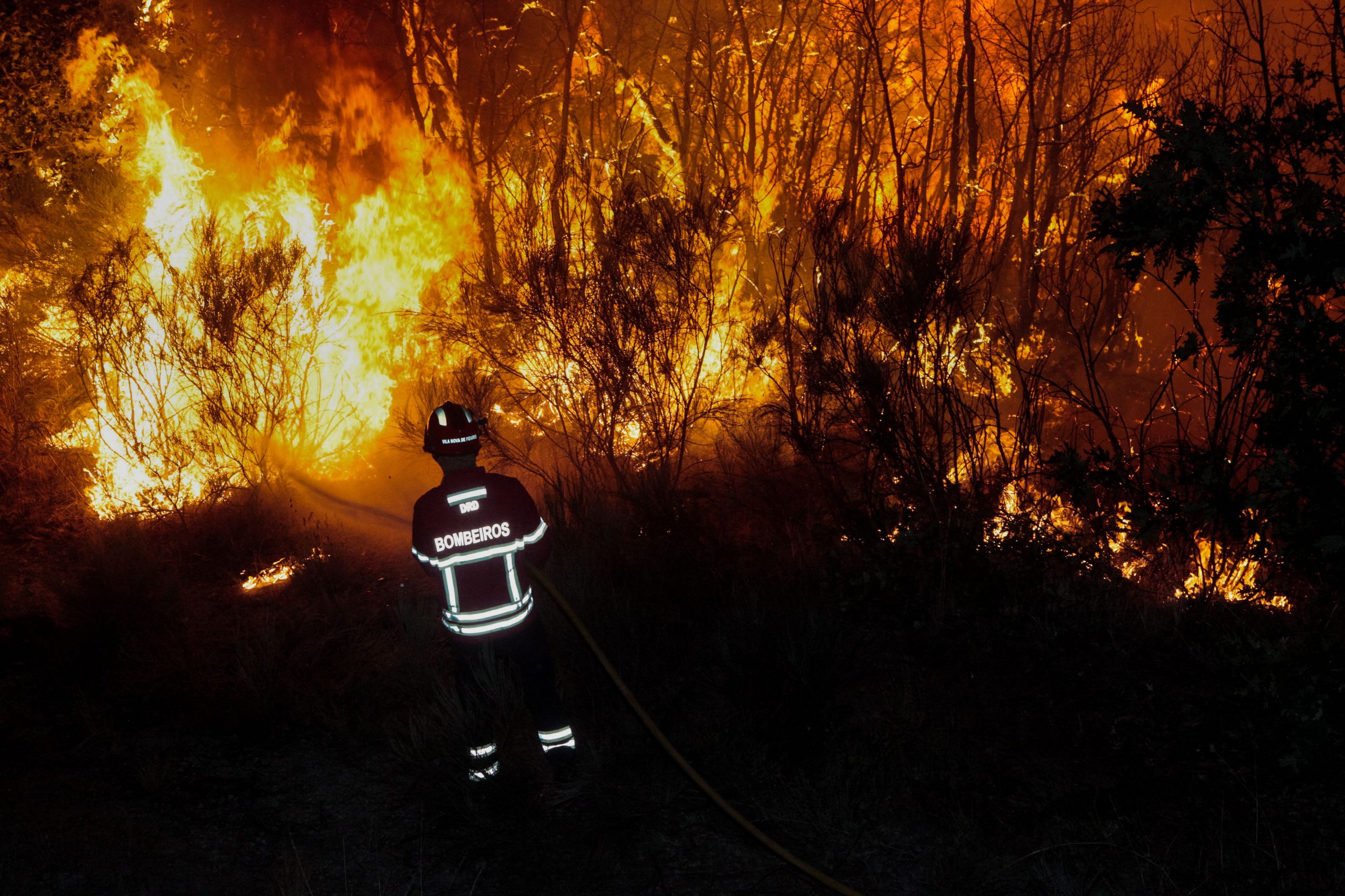 Incêndio em Nisa: “Só víamos fumo e cinza”, mas agora só querem voltar
