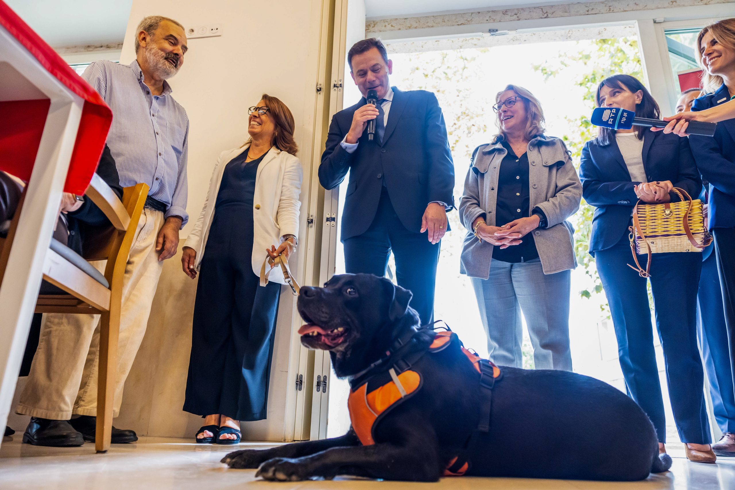 Primeiro-ministro ofereceu cão resgatado de abrigo a lar de idosos em Lisboa