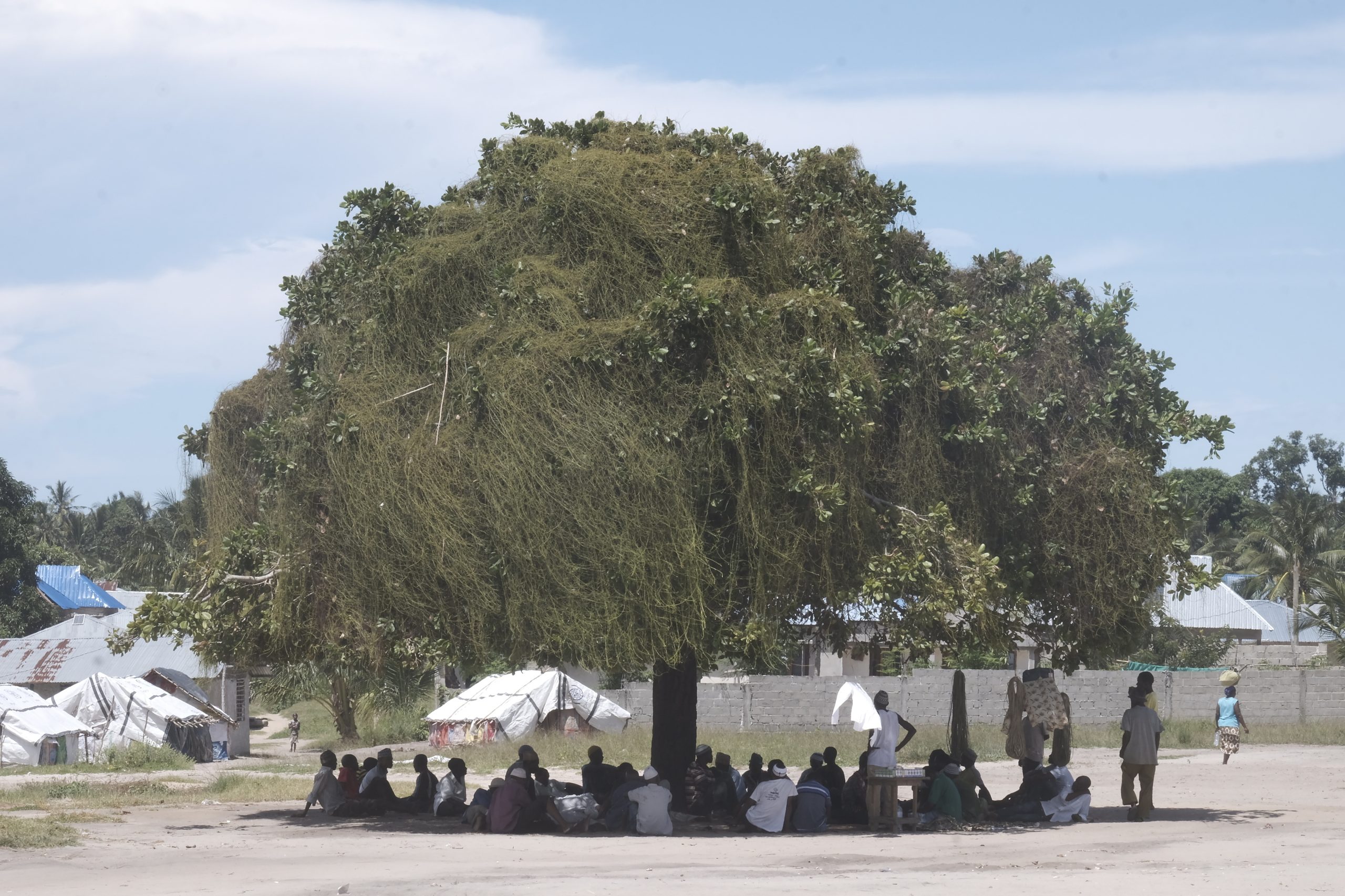 Moçambique: Forças governamentais controlam “completamente” a vila de Palma