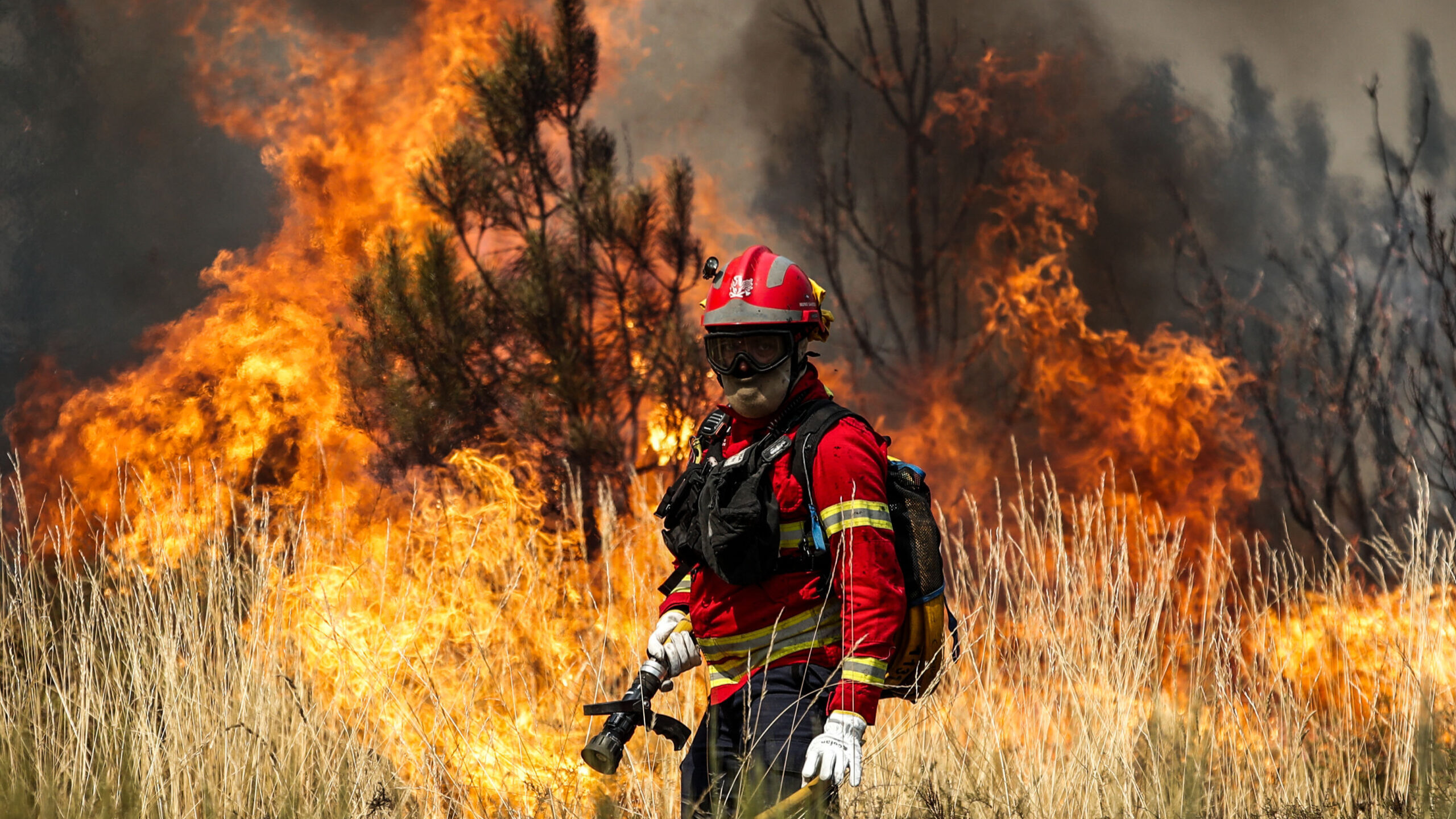 Incêndio deflagra em fábrica na Covilhã. Estão 60 operacionais no local