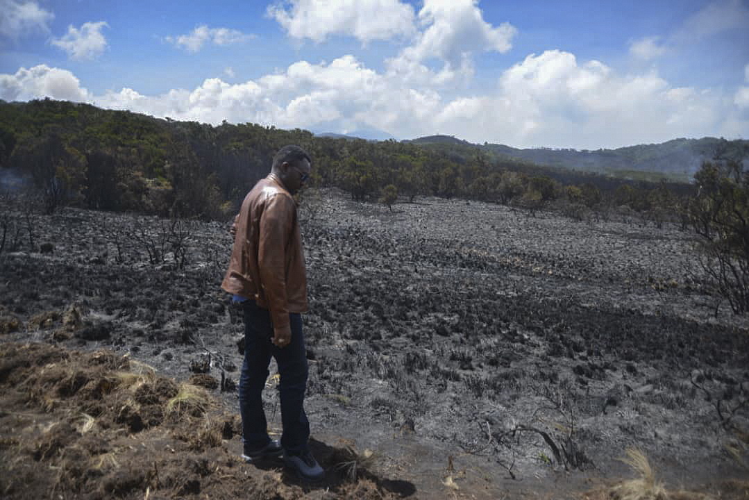 Tanzânia. Incêndio no Kilimanjaro está controlado