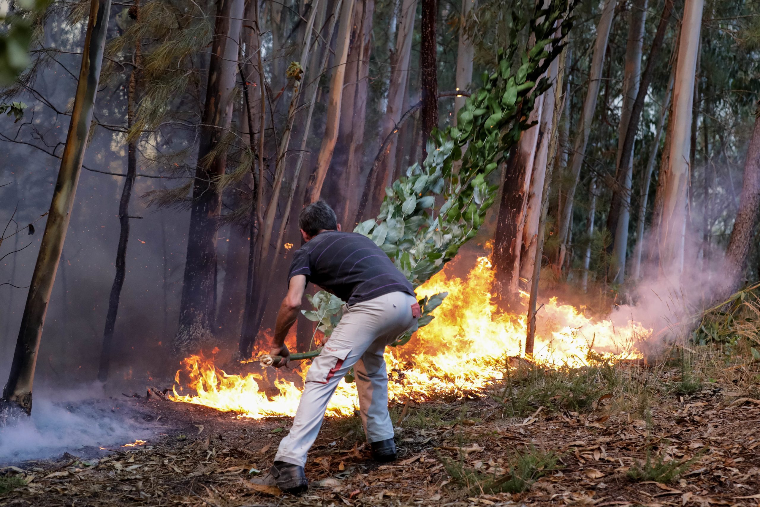 Fogo em Valpaços que obrigou a evacuar aldeia alastrou a Chaves