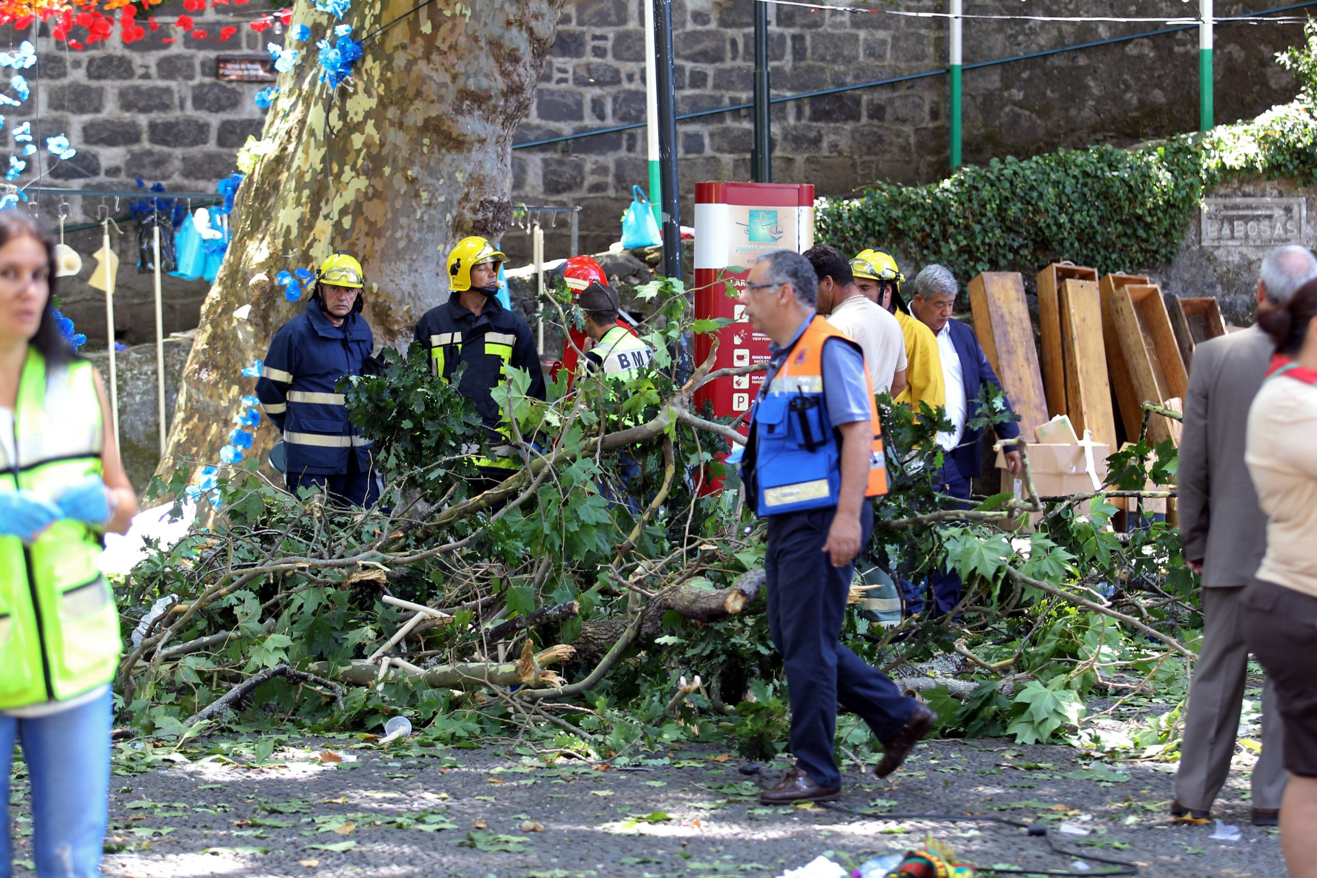 Madeira: Governo decreta dia de luto nacional esta sexta-feira pelas vítimas da queda de árvore
