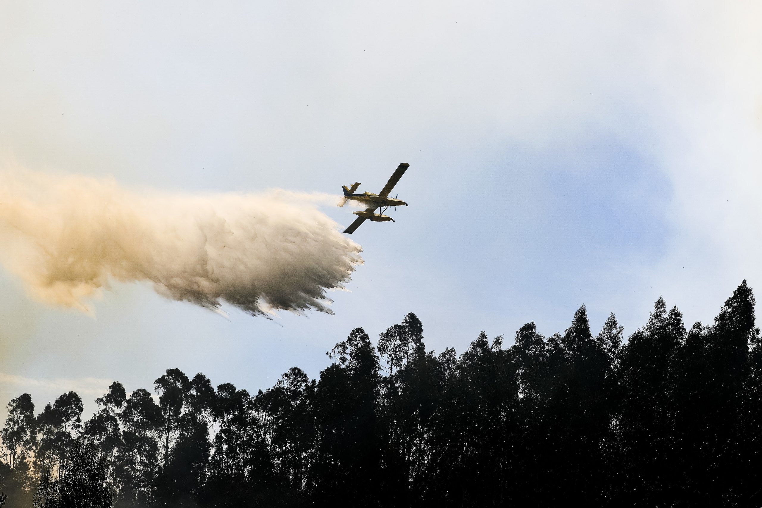 Ministro da Defesa afirma que providências cautelares paralisam contratação de meios aéreos