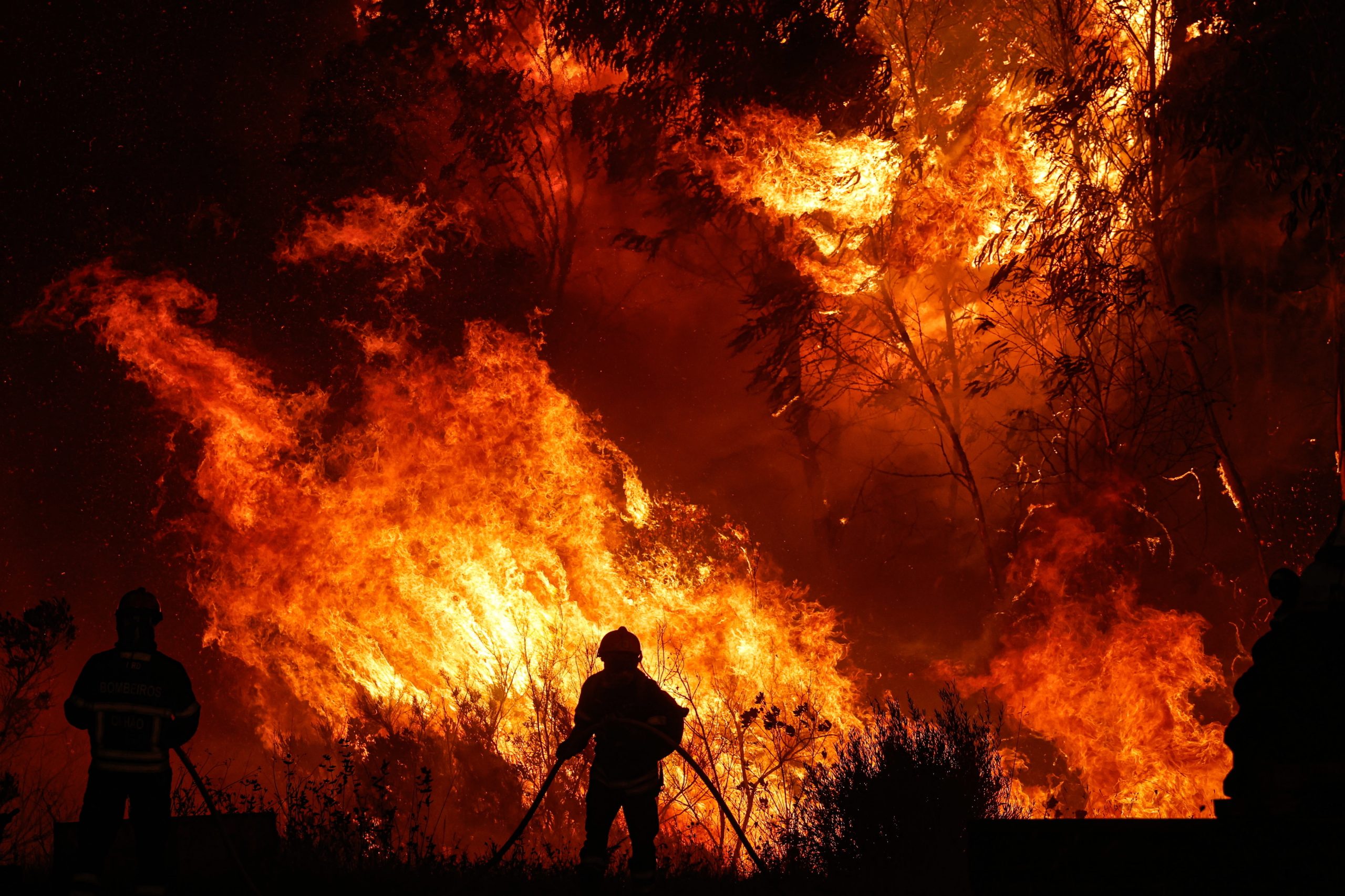 Incêndios de Odemira e Castelo Branco representam mais de metade da área ardida em 2023
