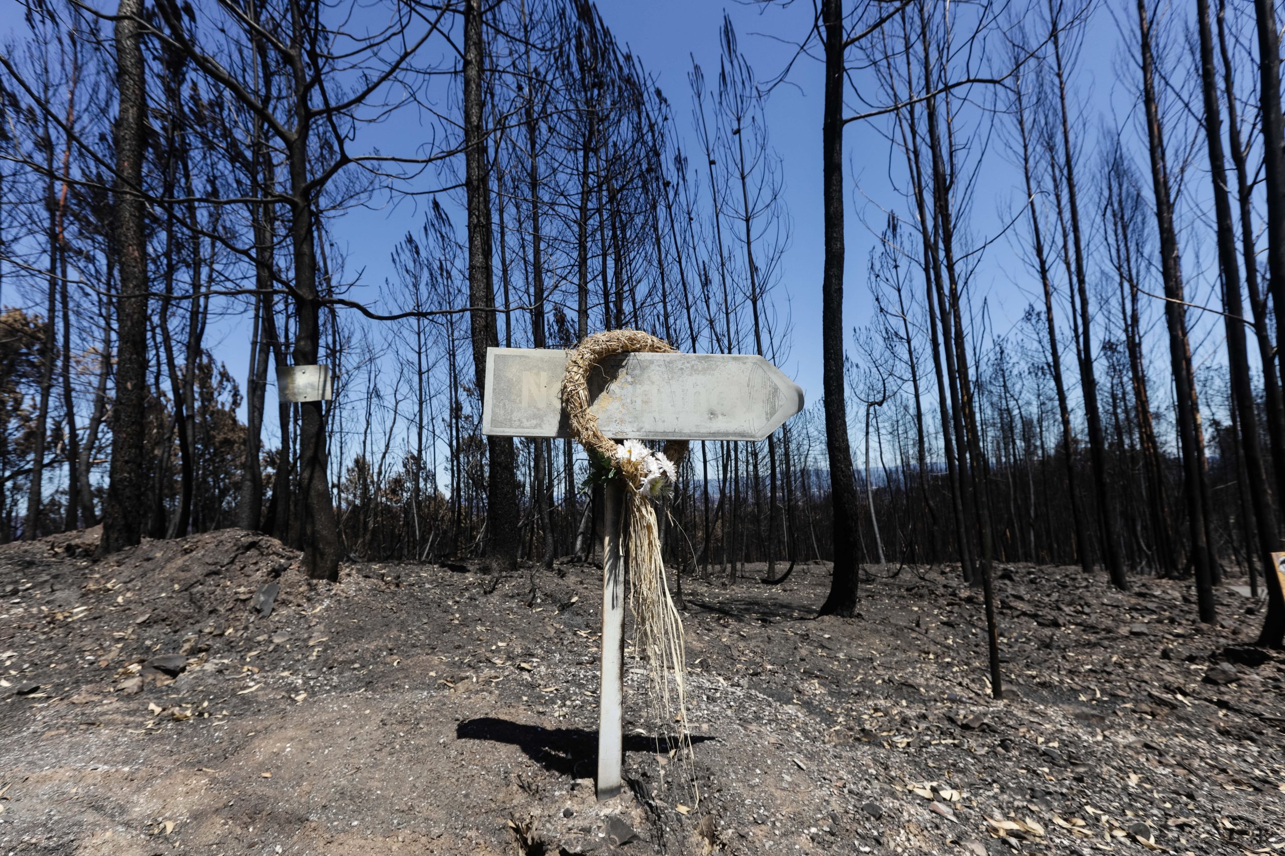 Fase de instrução do processo sobre o incêndio de Pedrógão Grande começa hoje