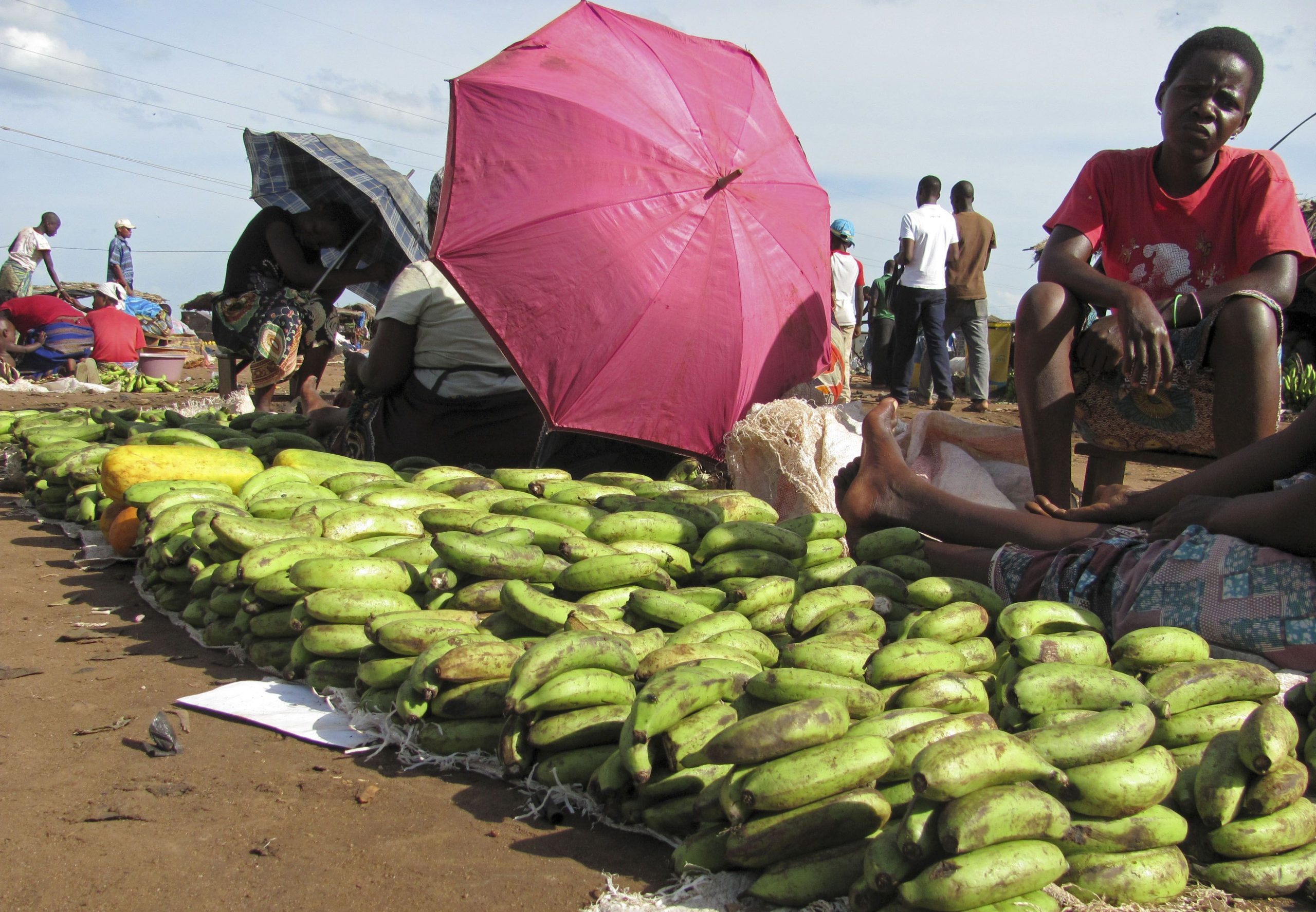 África Oriental em estado de alerta devida a aumento da fome e falta de chuva