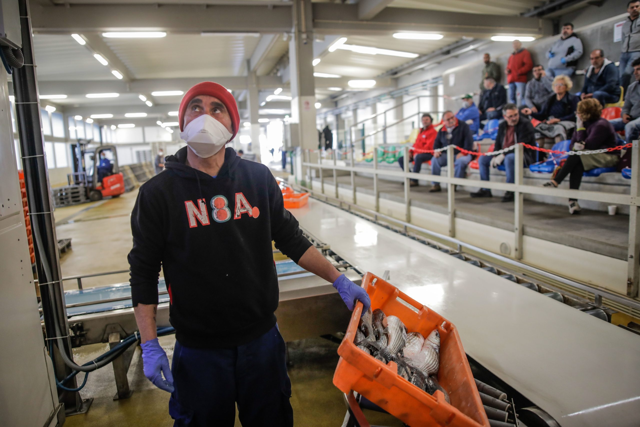 Direção-geral e Docapesca deve assegurar material de proteção a trabalhadores de portos e lotas