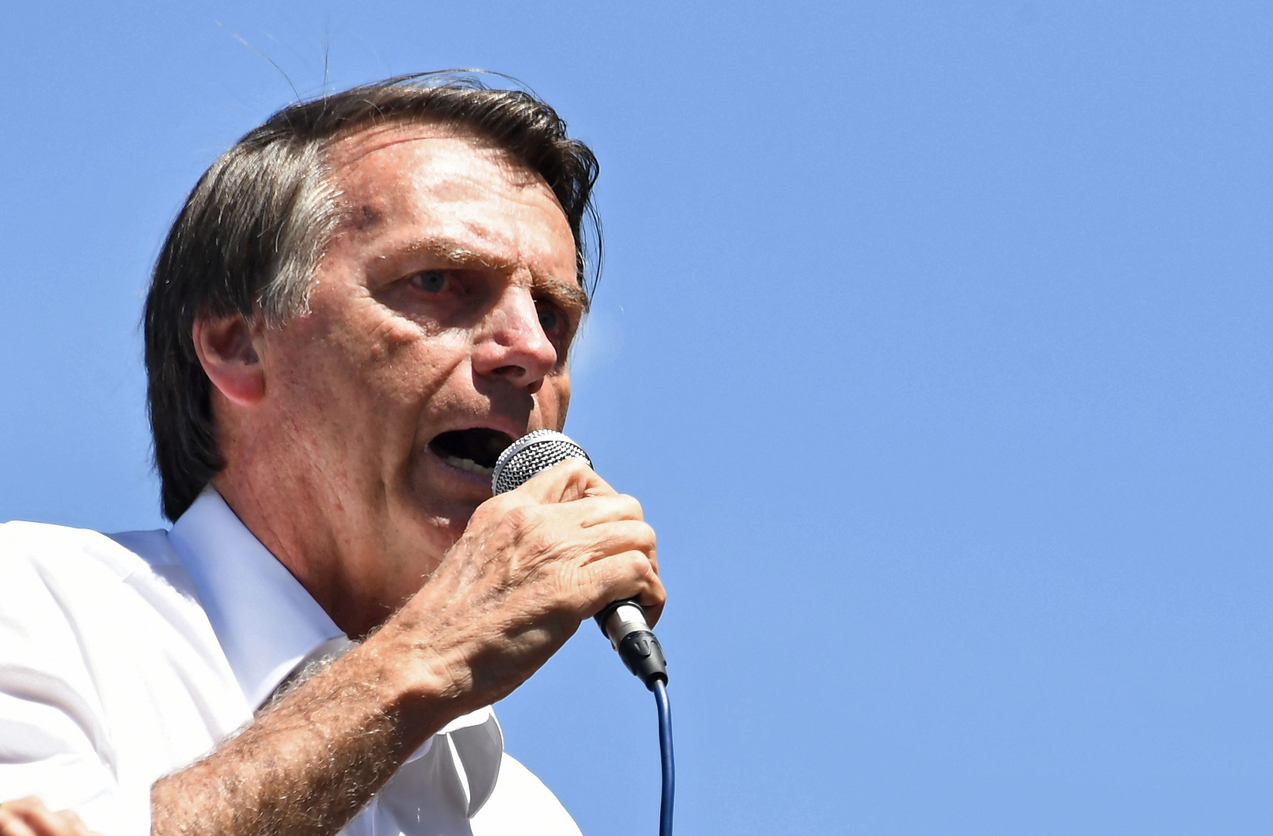 Eleições no Brasil: Mais de três centenas de pessoas em Berlim contra eleição de Bolsonaro