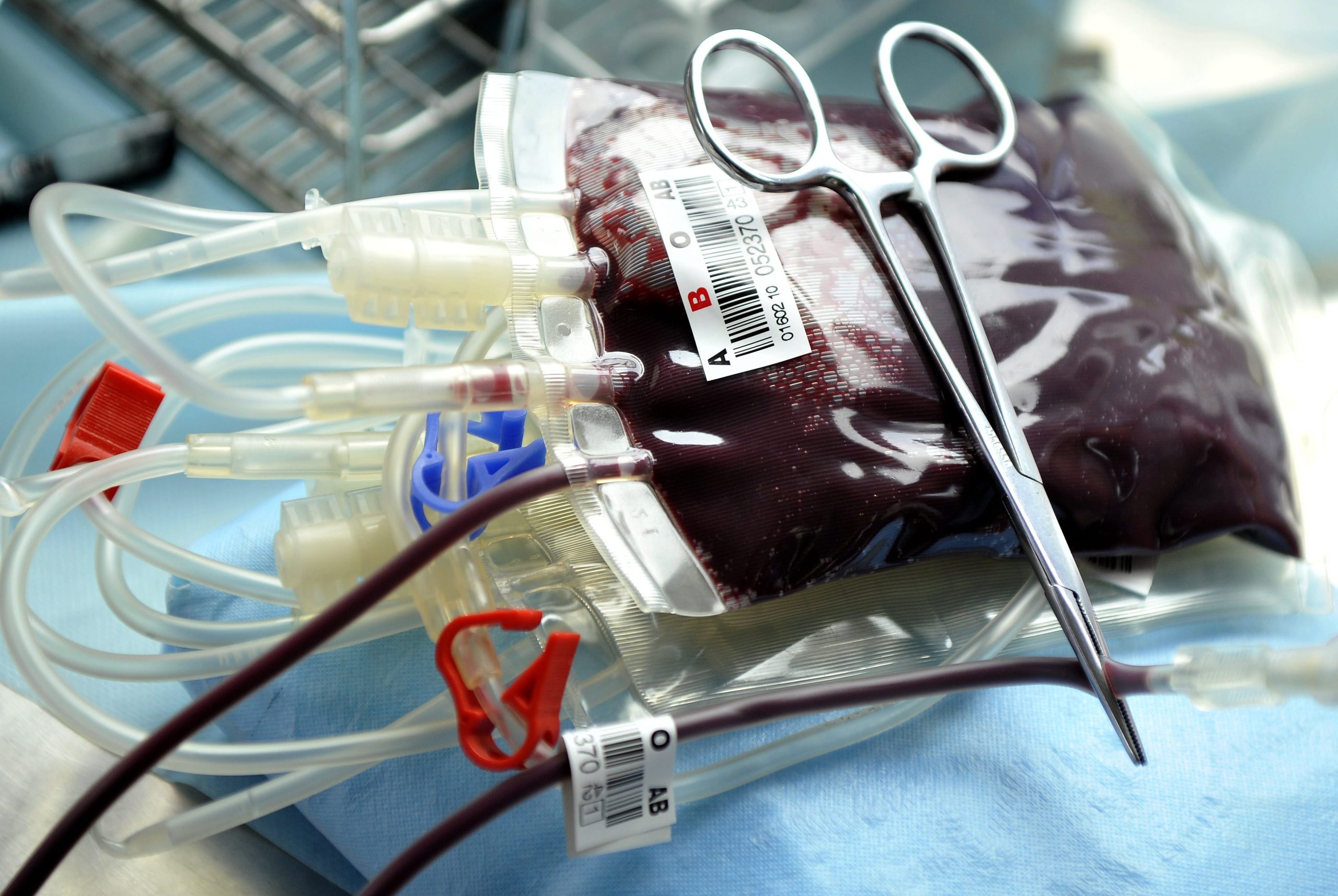 Covid-19: Santo António no Porto apela às dádivas de sangue por quebra nas reservas