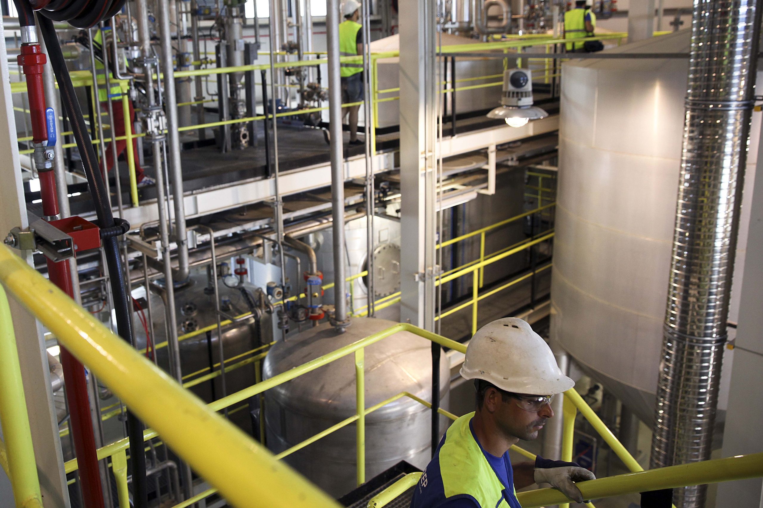 Empresa de biodiesel compra no estrangeiro óleo que portugueses deitam no esgoto