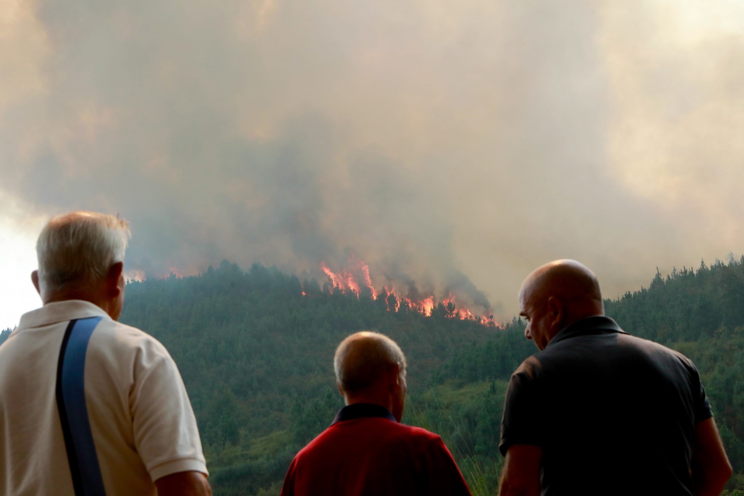 Autarca apela à ANEPC e ao Governo. Vila Real está a ser consumida em “lume brando”