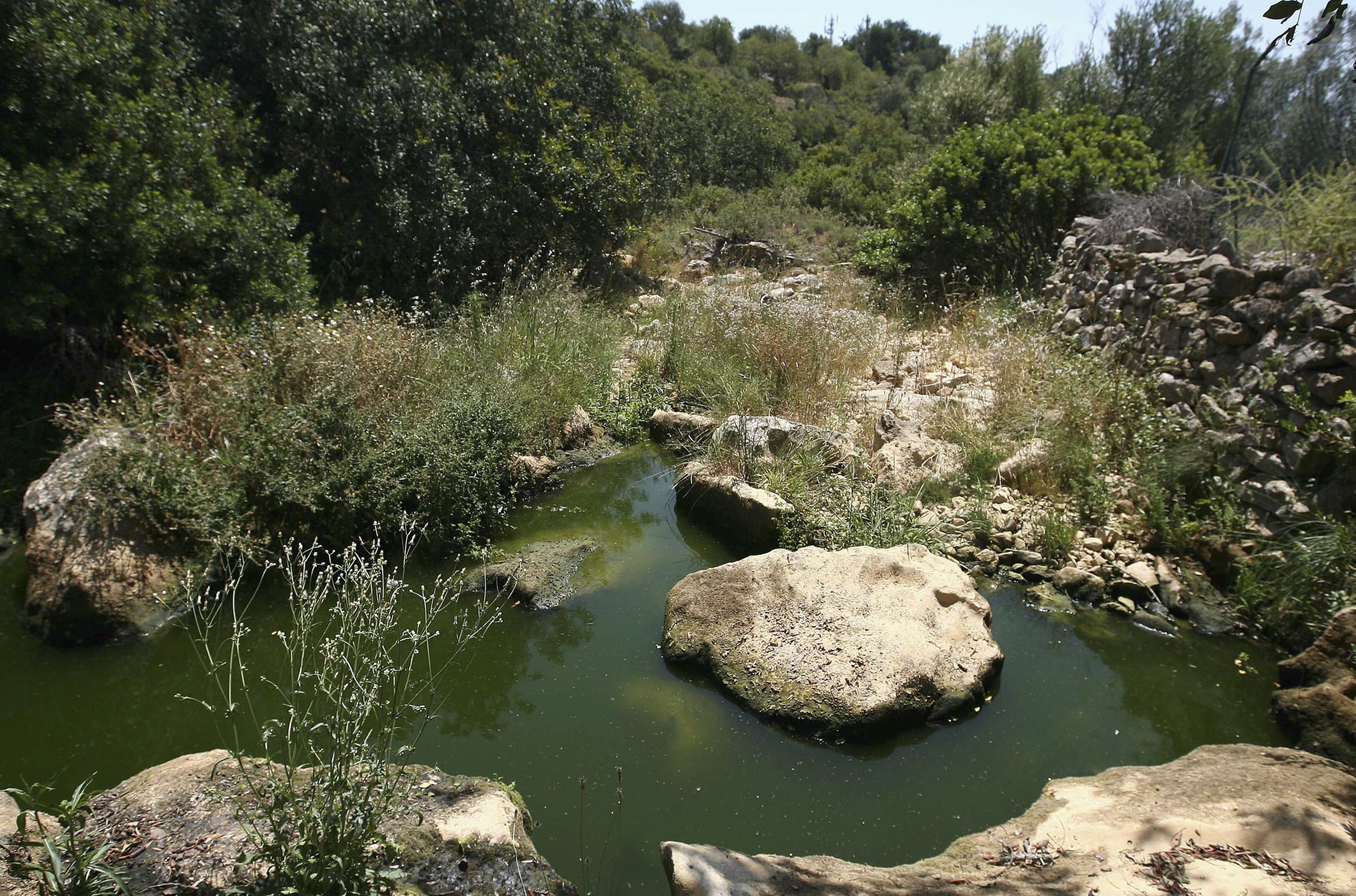 Universidade da Beira Interior com projeto para remover microplásticos de águas residuais