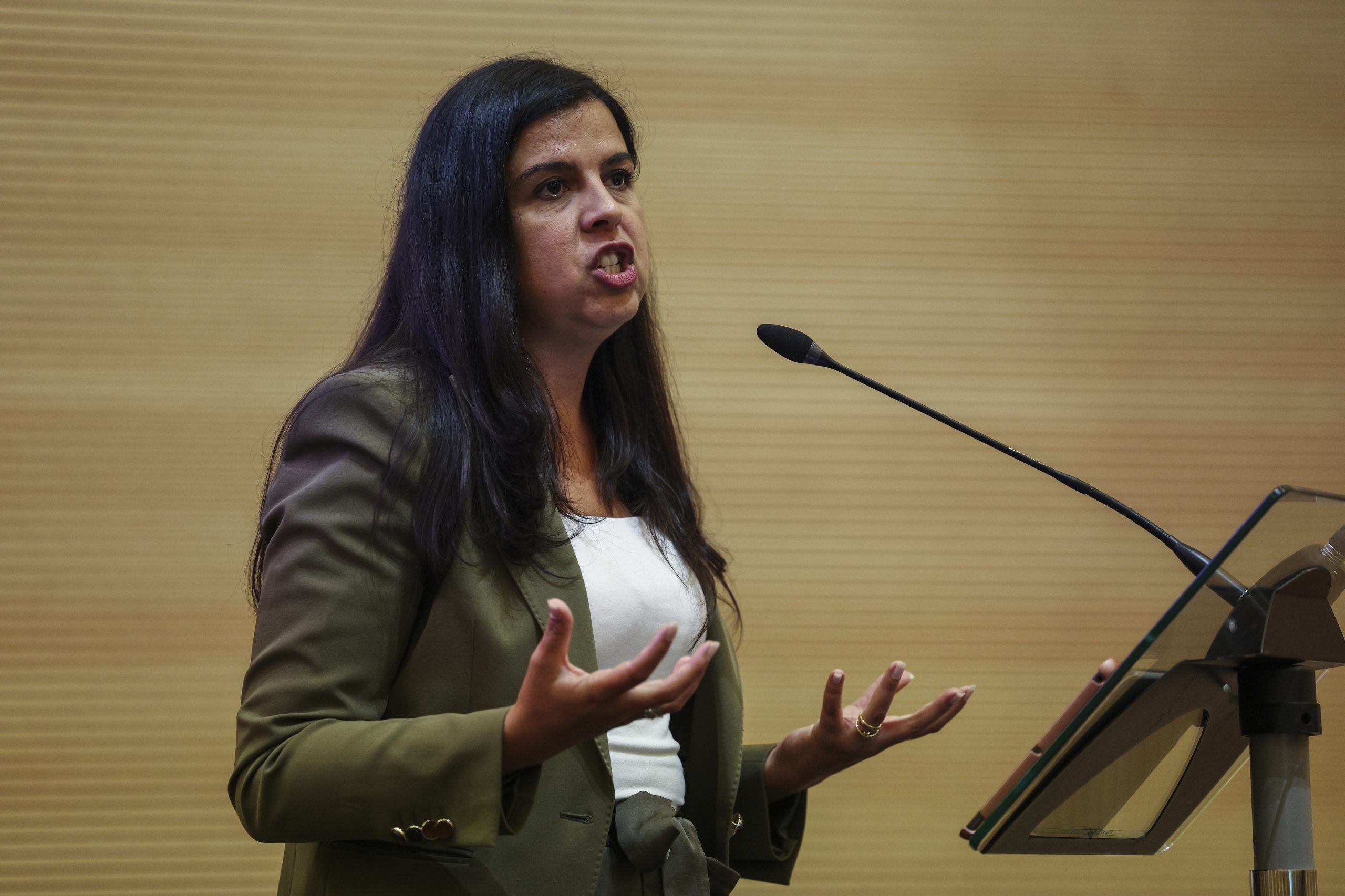 OE2024: PAN diz que alívio da carga fiscal é “uma ilusão” e apela a diálogo com a oposição