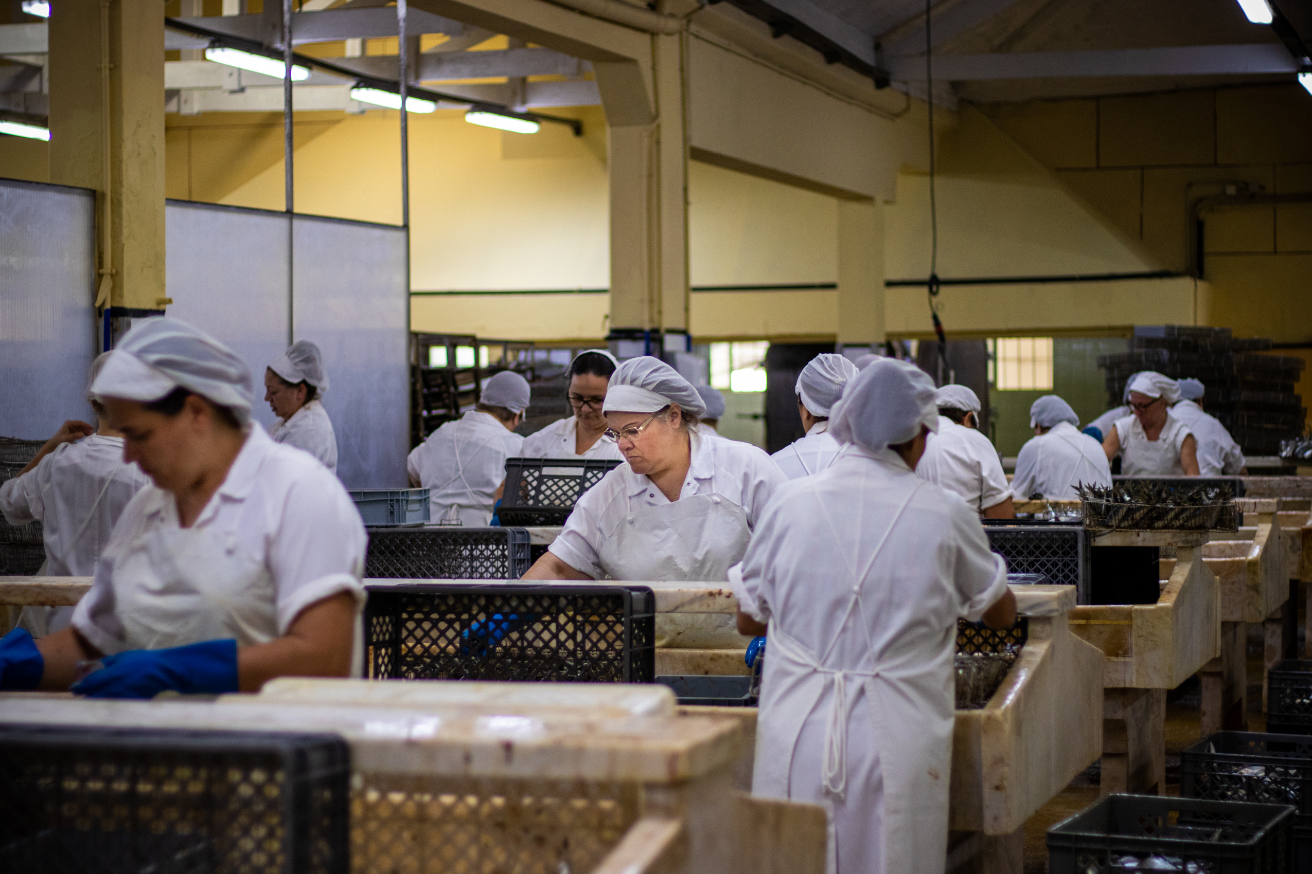 Crise na alimentação: Governo cria grupo para acompanhar cadeia de abastecimento