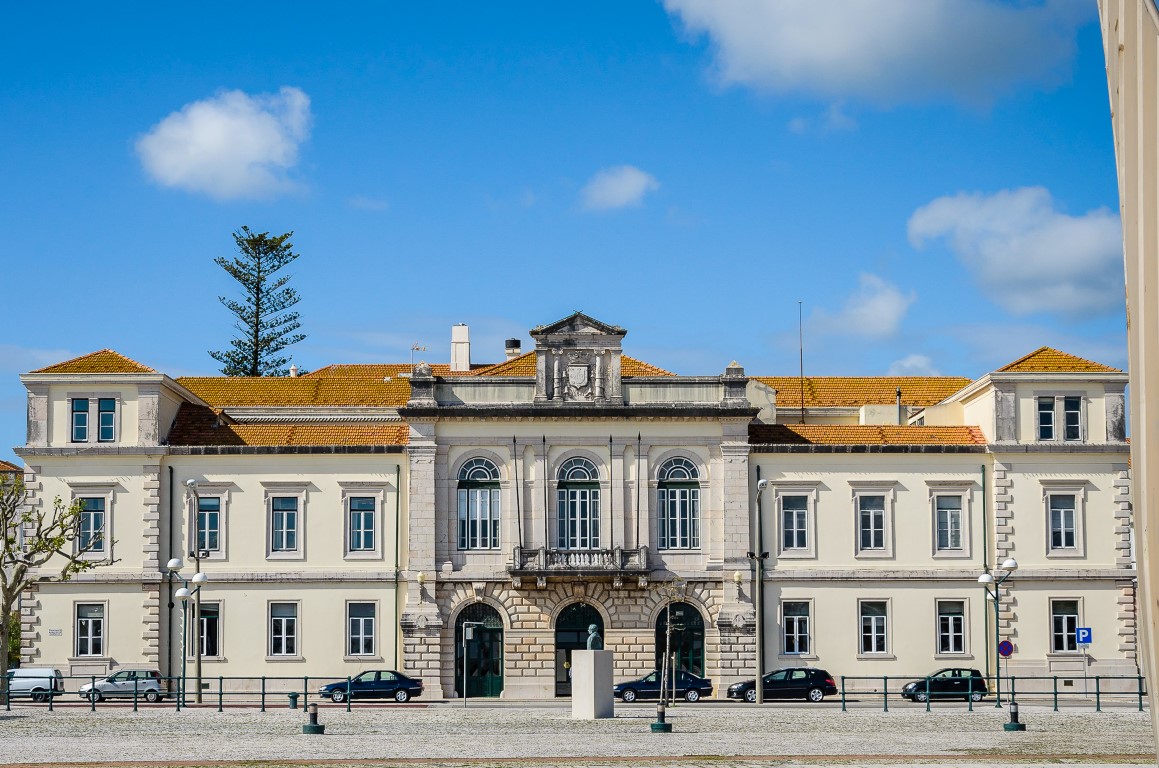 Cidadãos contra abate de árvores na Figueira da Foz falam em recuo “circunstancial” da autarquia