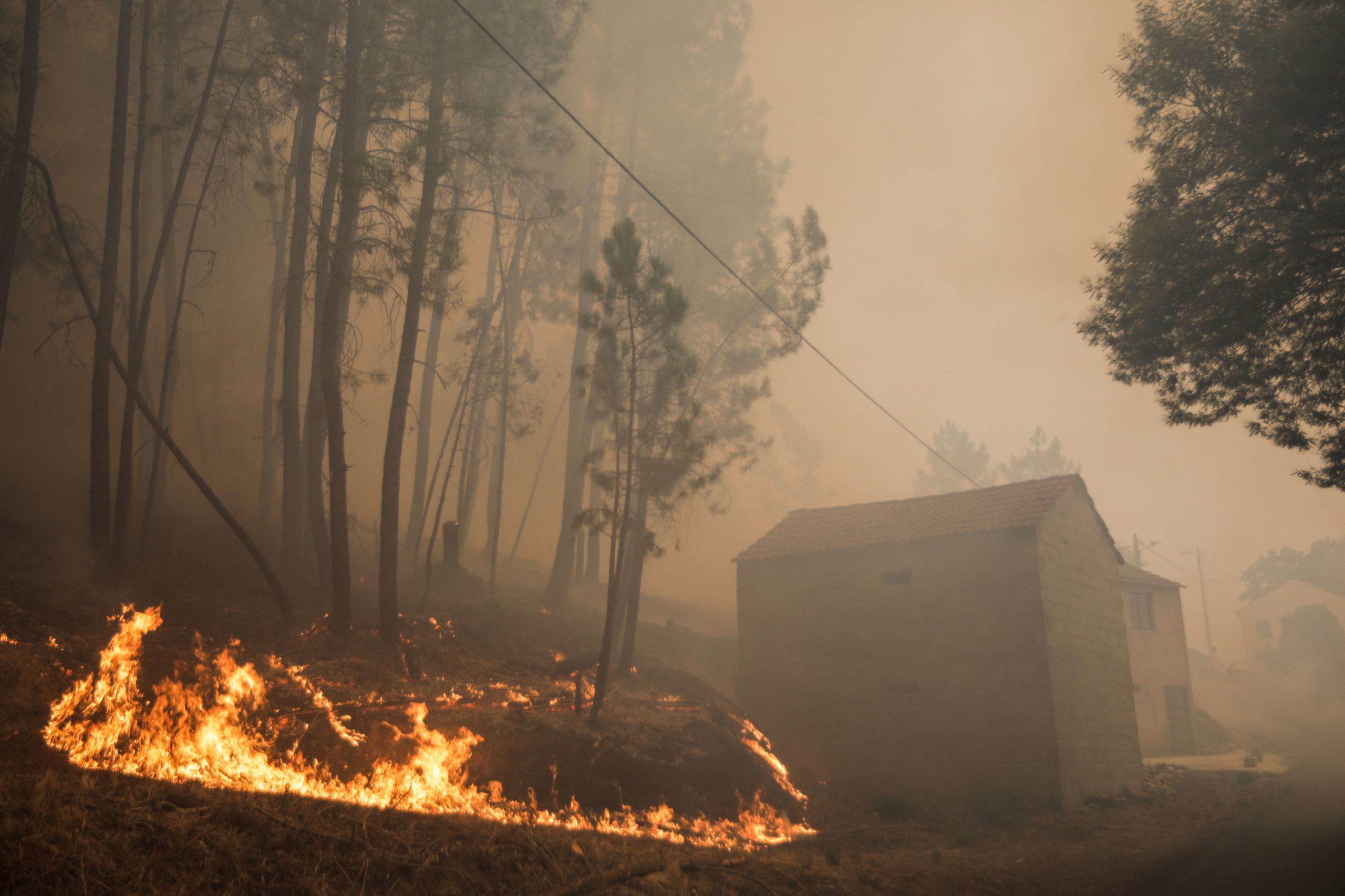 Incêndios: Proença-a-Nova estima prejuízos de sete milhões de euros