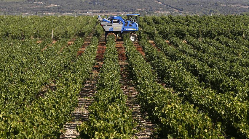 Espanha e Portugal discutem “estratégia conjunta” para reforma da Política Agrícola Comum