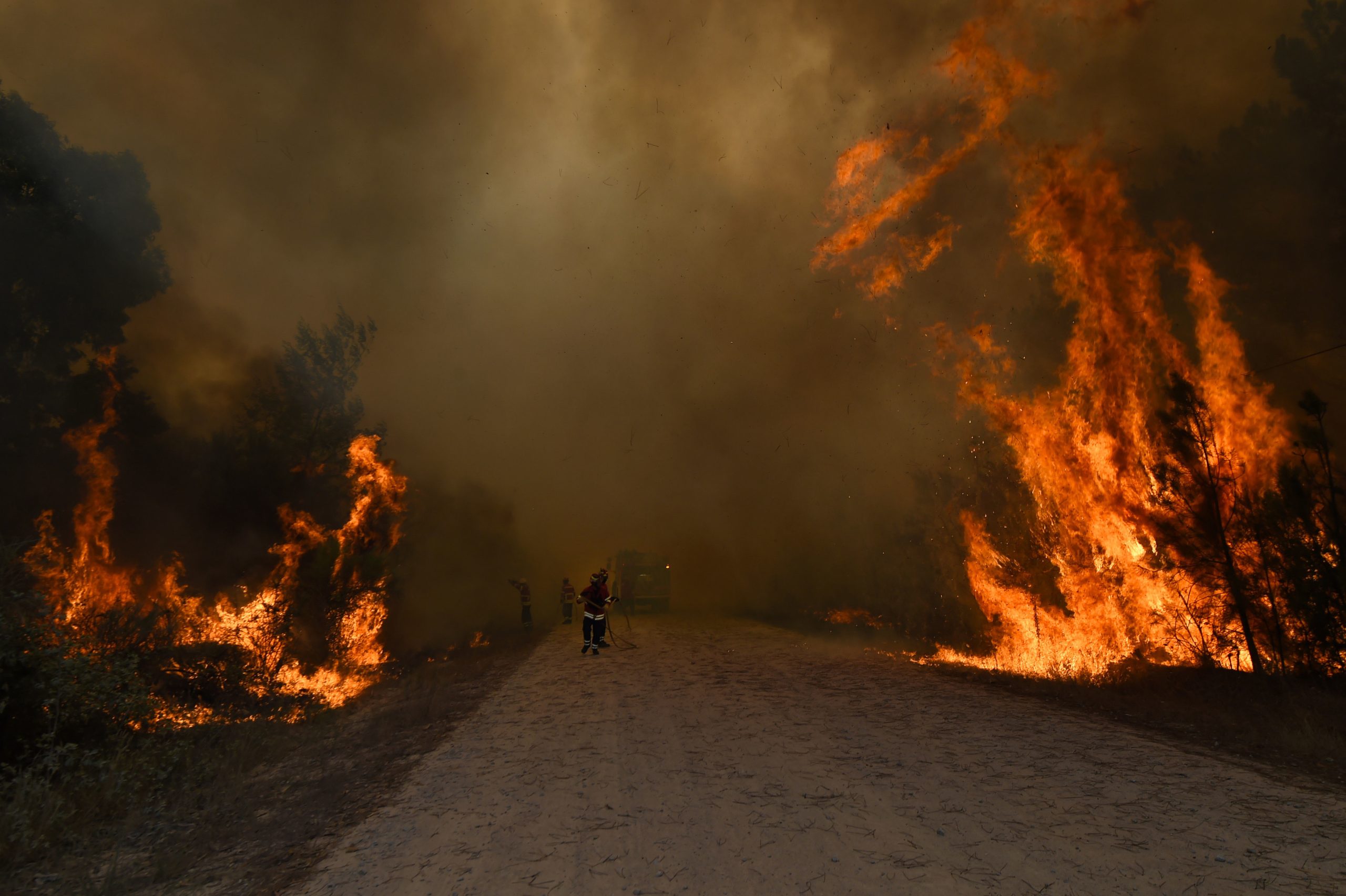 Cerca de 85 concelhos de 12 distritos do continente em risco máximo de incêndio