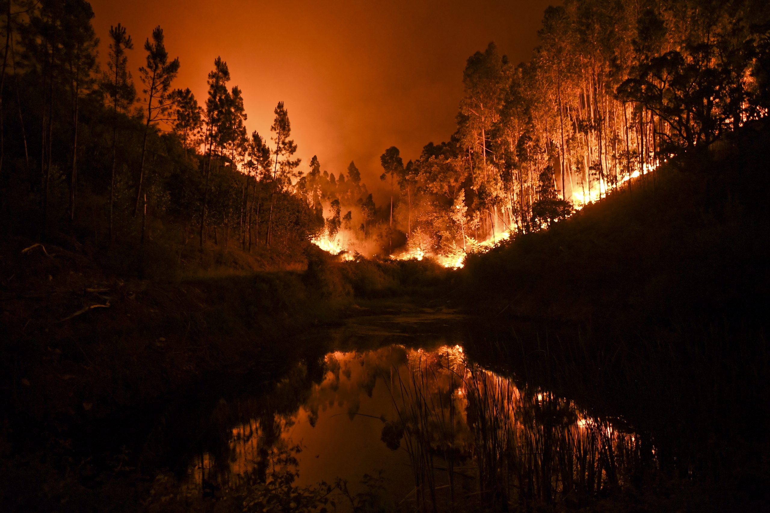 Incêndios: Meios de combate para fase mais crítica estão todos no terreno