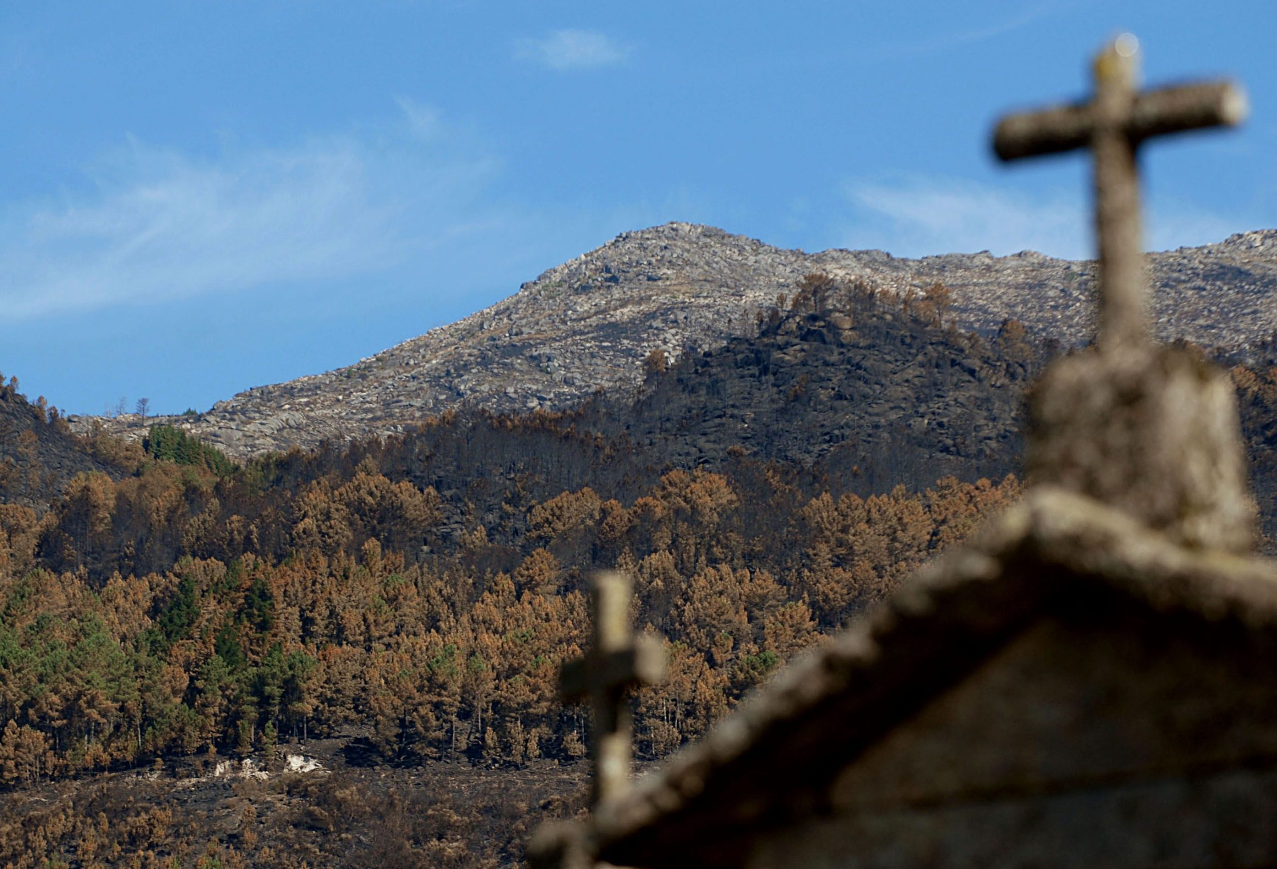 Parque Peneda Gerês inicia campanha nacional de reflorestação de áreas ardidas