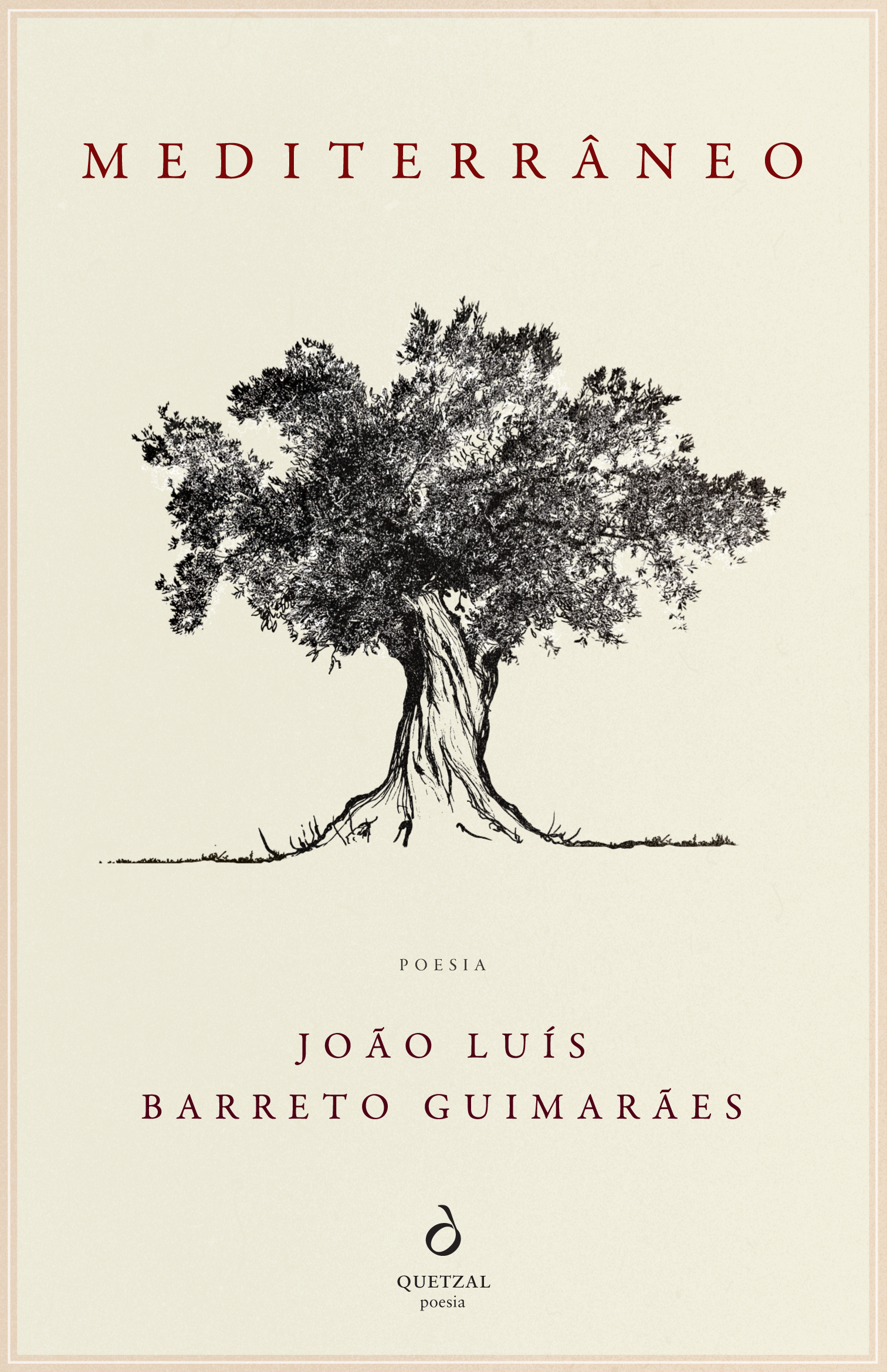 João Luís Barreto Guimarães vence prémio norte-americano de poesia Willow Run