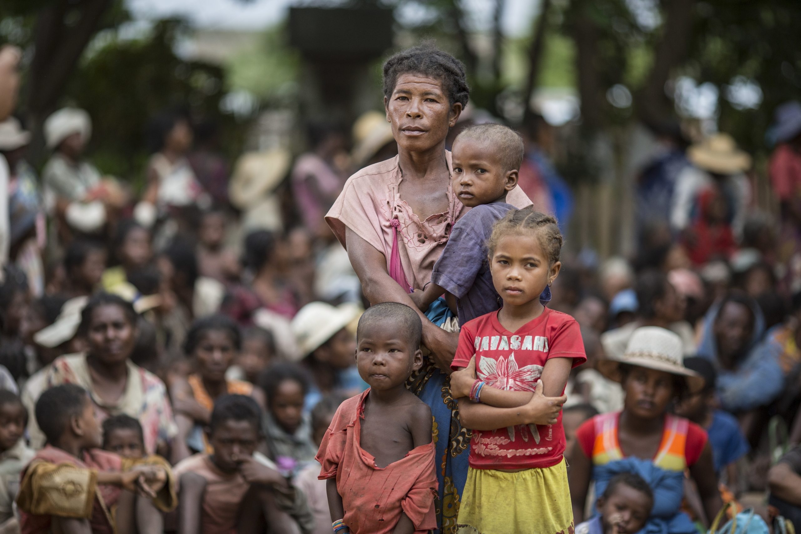 Comem gafanhotos e até lama. Madagáscar é o primeiro país do mundo onde se passa fome devido às alterações climáticas