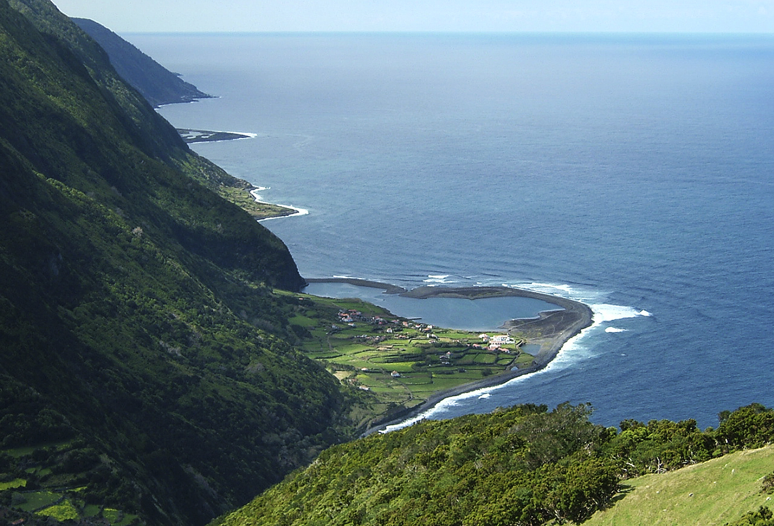 Açores vão rever regime de observação de cetáceos permitindo acesso de empresas de São Jorge