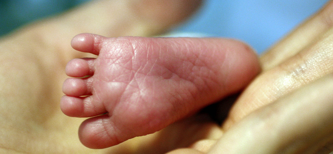 UGT quer licença parental com “períodos iguais e obrigatórios” para homens e mulheres