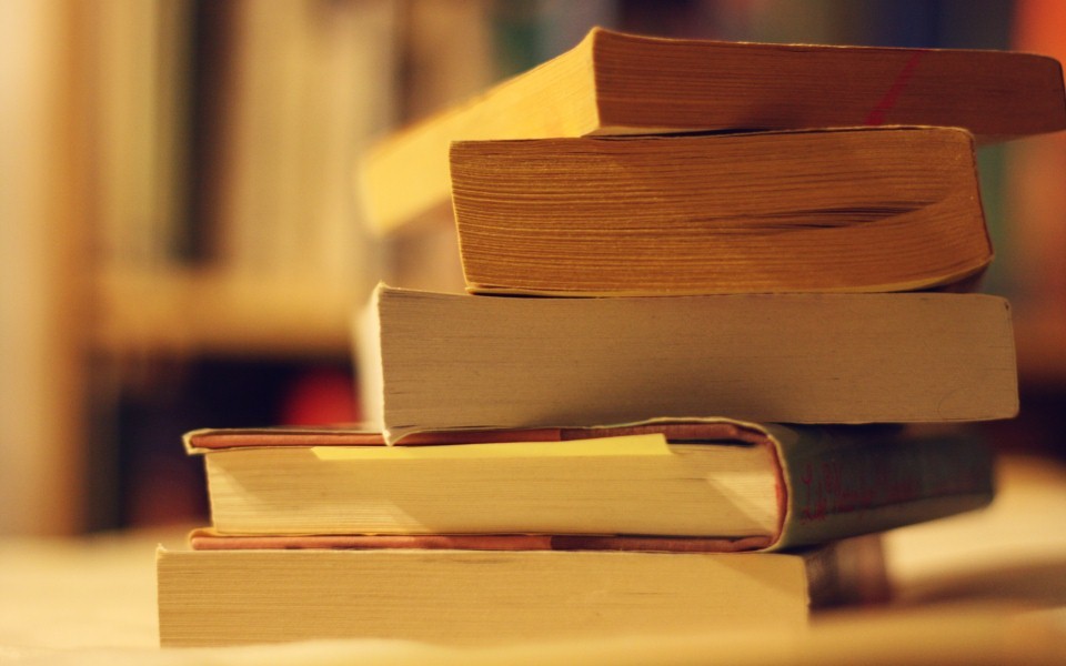 Mais de 111 escritores dos EUA participam numa Universidade de Verão em Lisboa