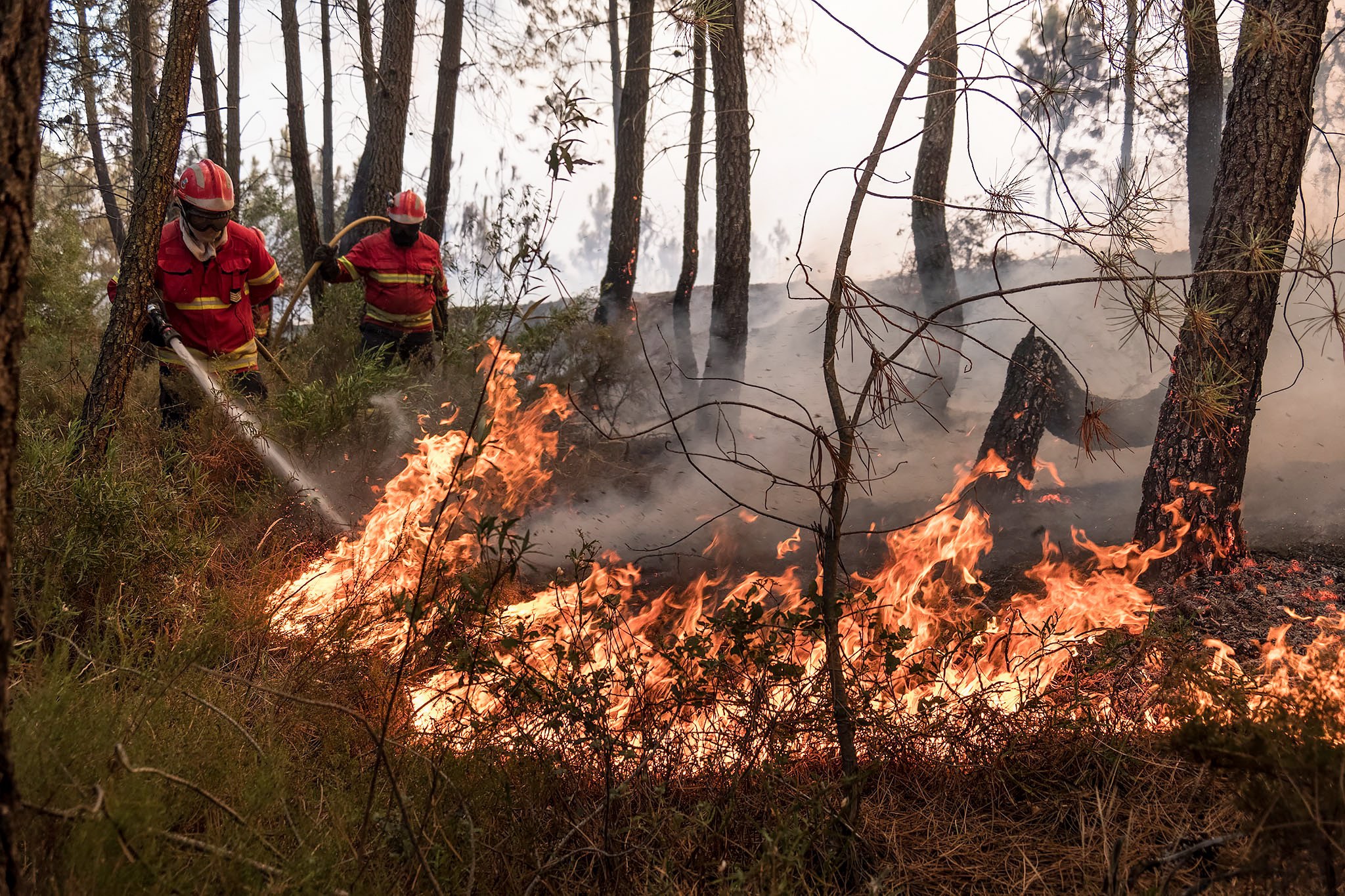 “É uma situação inimaginável”. Casas arderam em Mação e mais de uma dezena de aldeias foi evacuadas