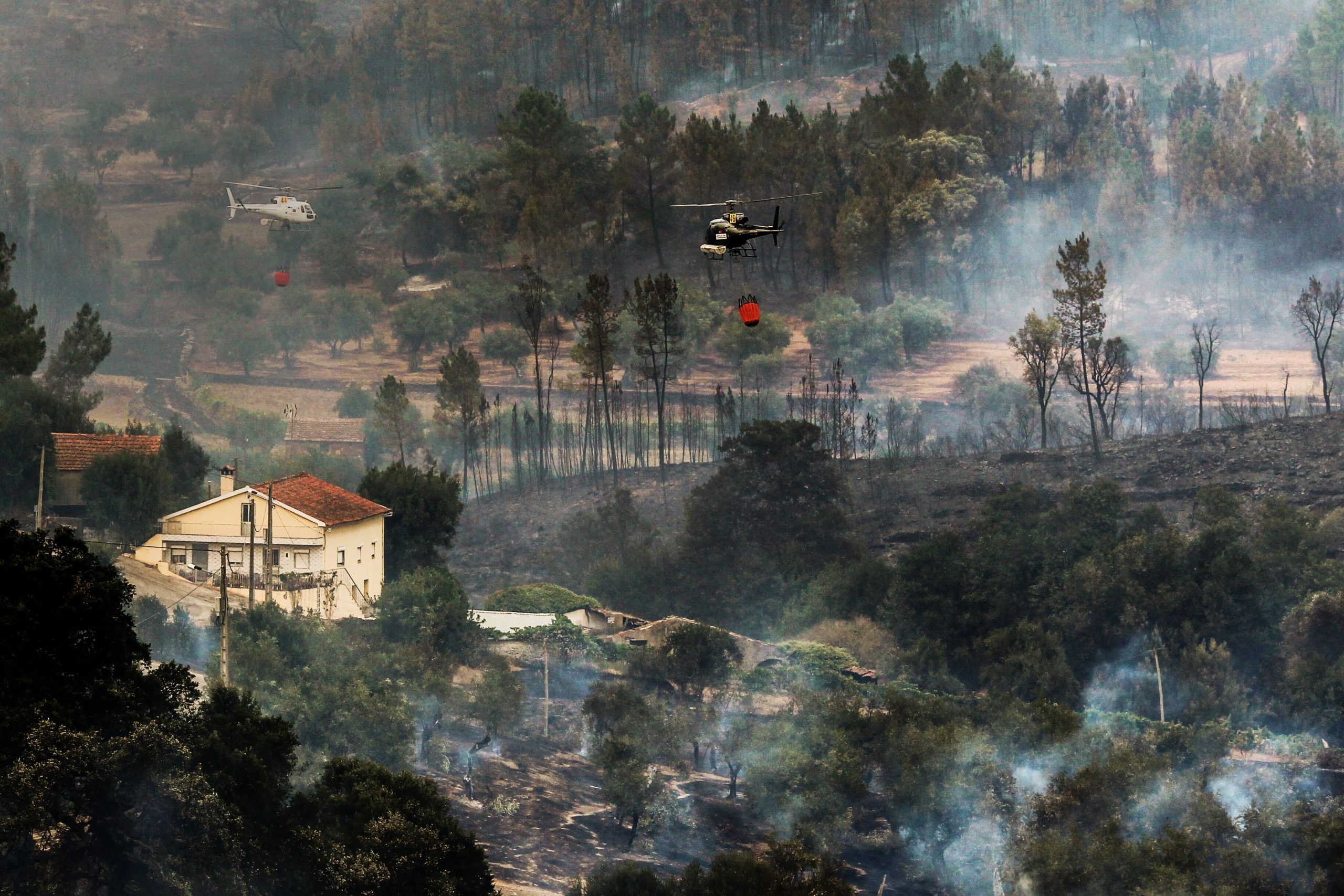 Incêndios: Municípios apoiam proposta do Governo para agilizar reconstrução de casas