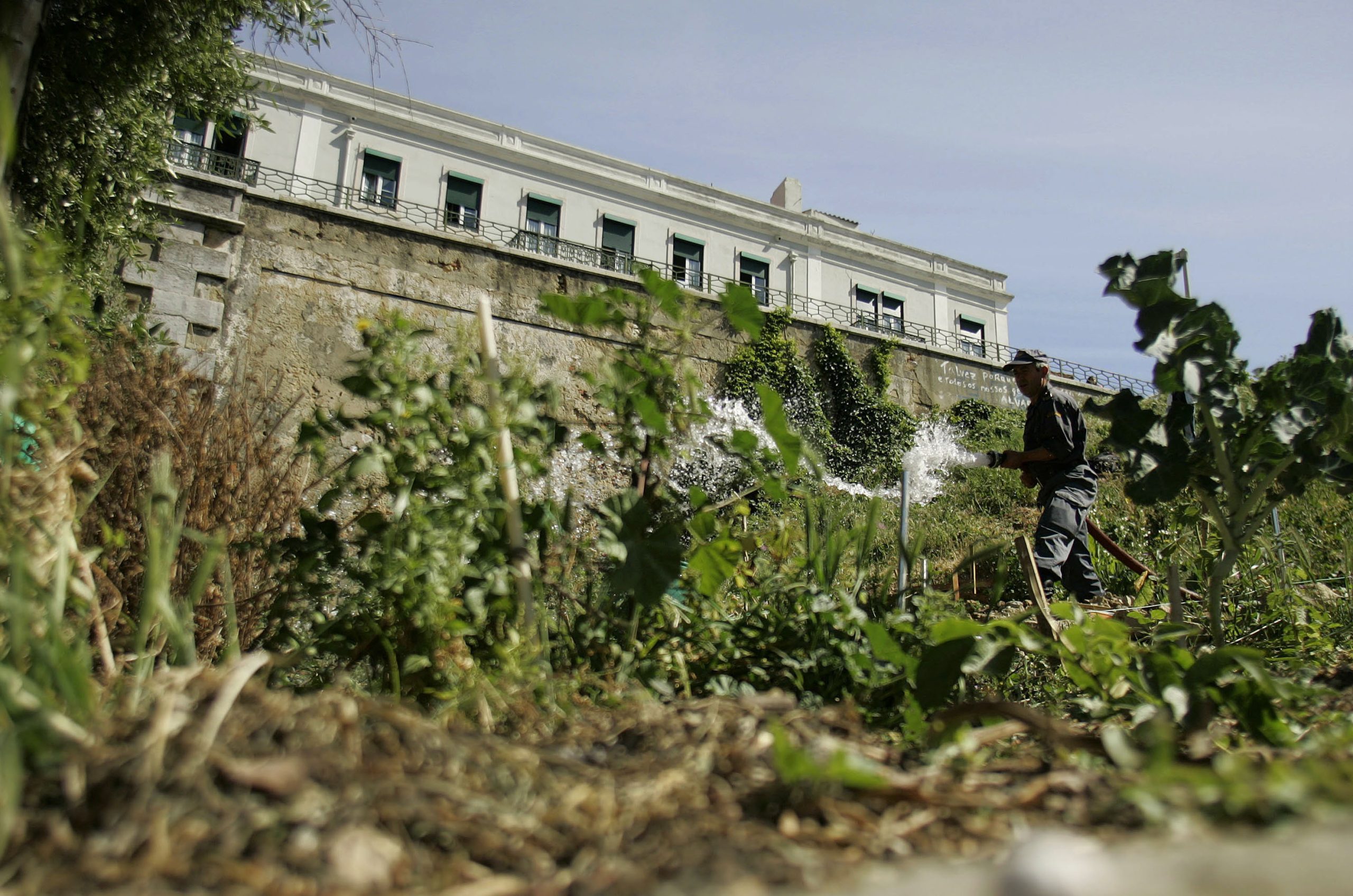 Ter uma horta mais sustentável ou reduzir o lixo biodegradável. Projeto de compostagem já atraiu 900 lisboetas