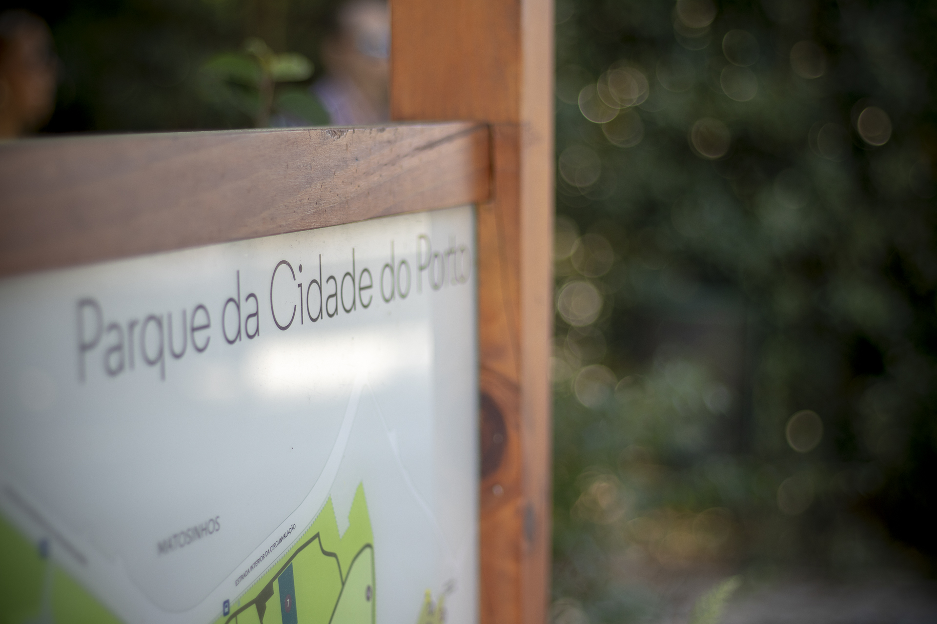 Negada indemnização a pais de jovem que morreu afogado no Parque da Cidade do Porto