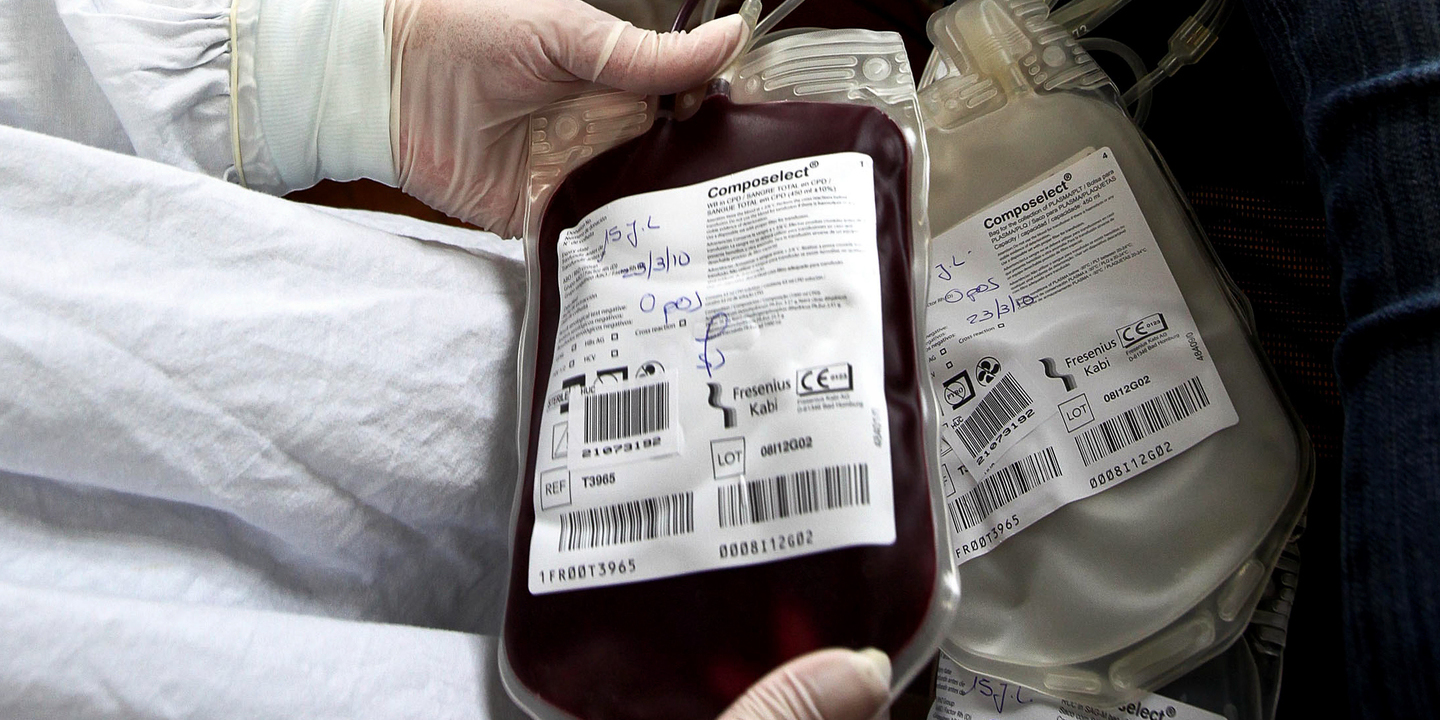 Reservas de sangue estão estáveis mas todos os dias são necessários mais dadores