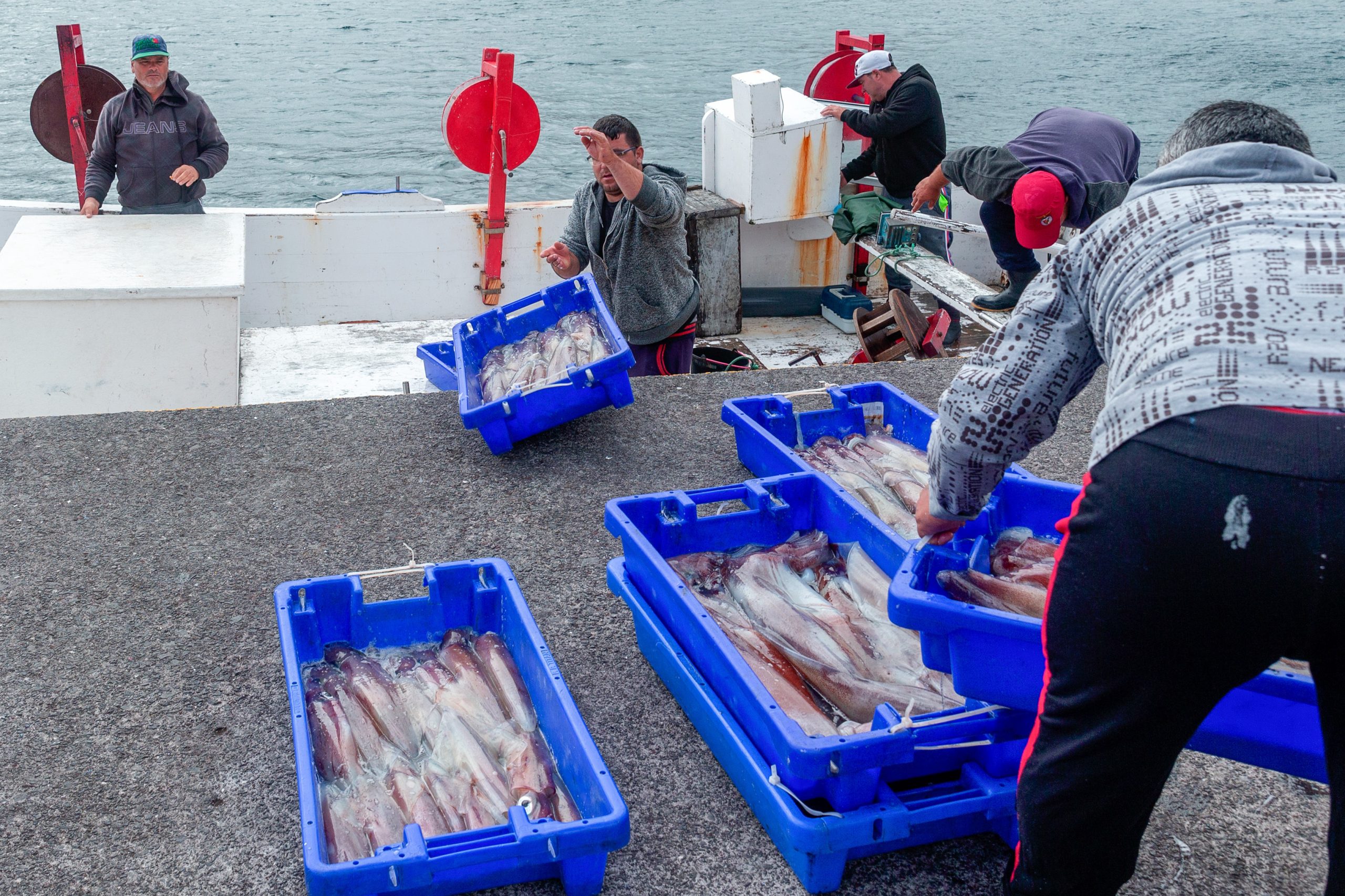Açores: abertas candidaturas a investimentos na área das pescas