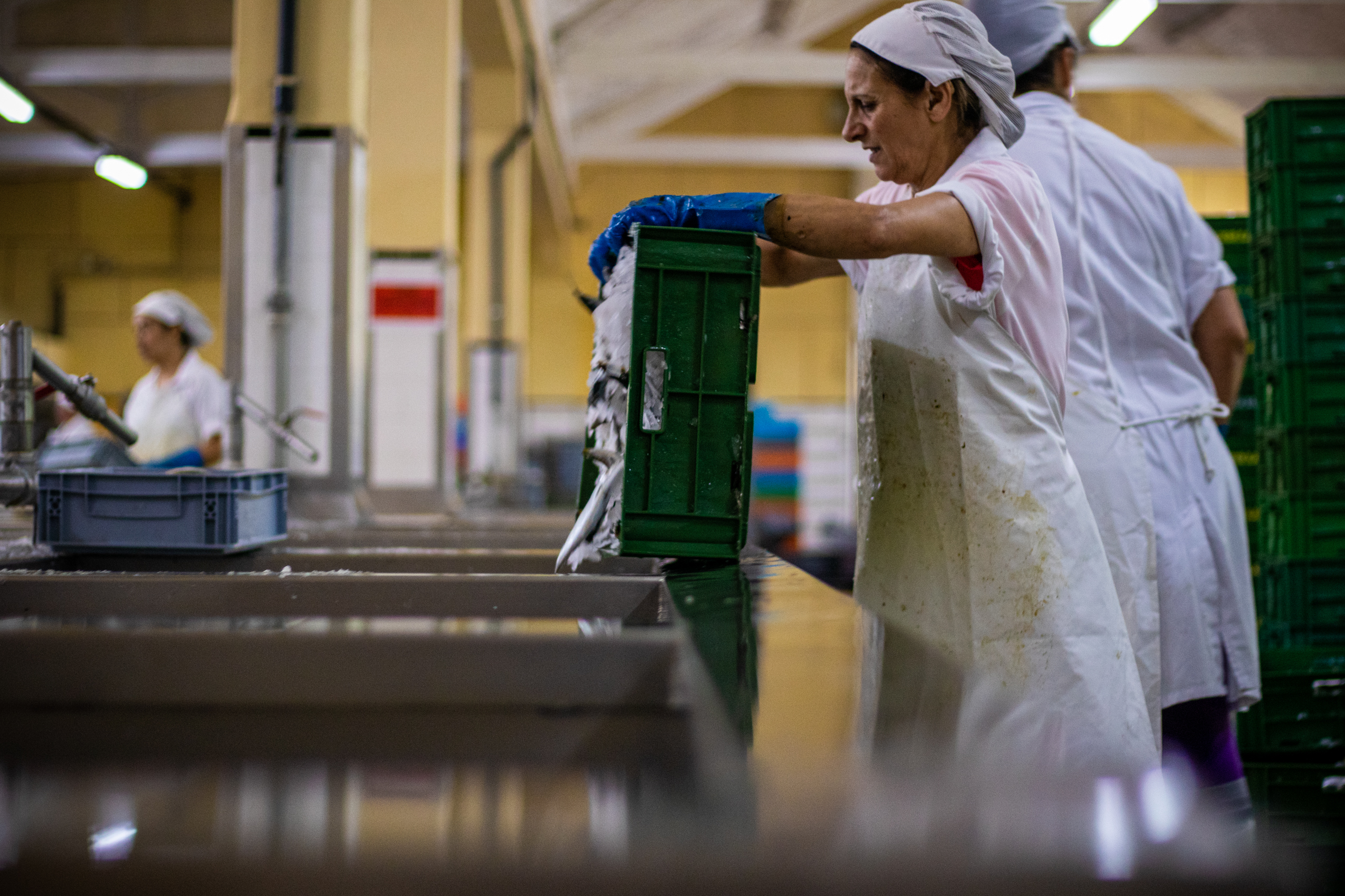 INE confirma crescimento do PIB de 4,9% em 2021, o mais elevado desde 1990