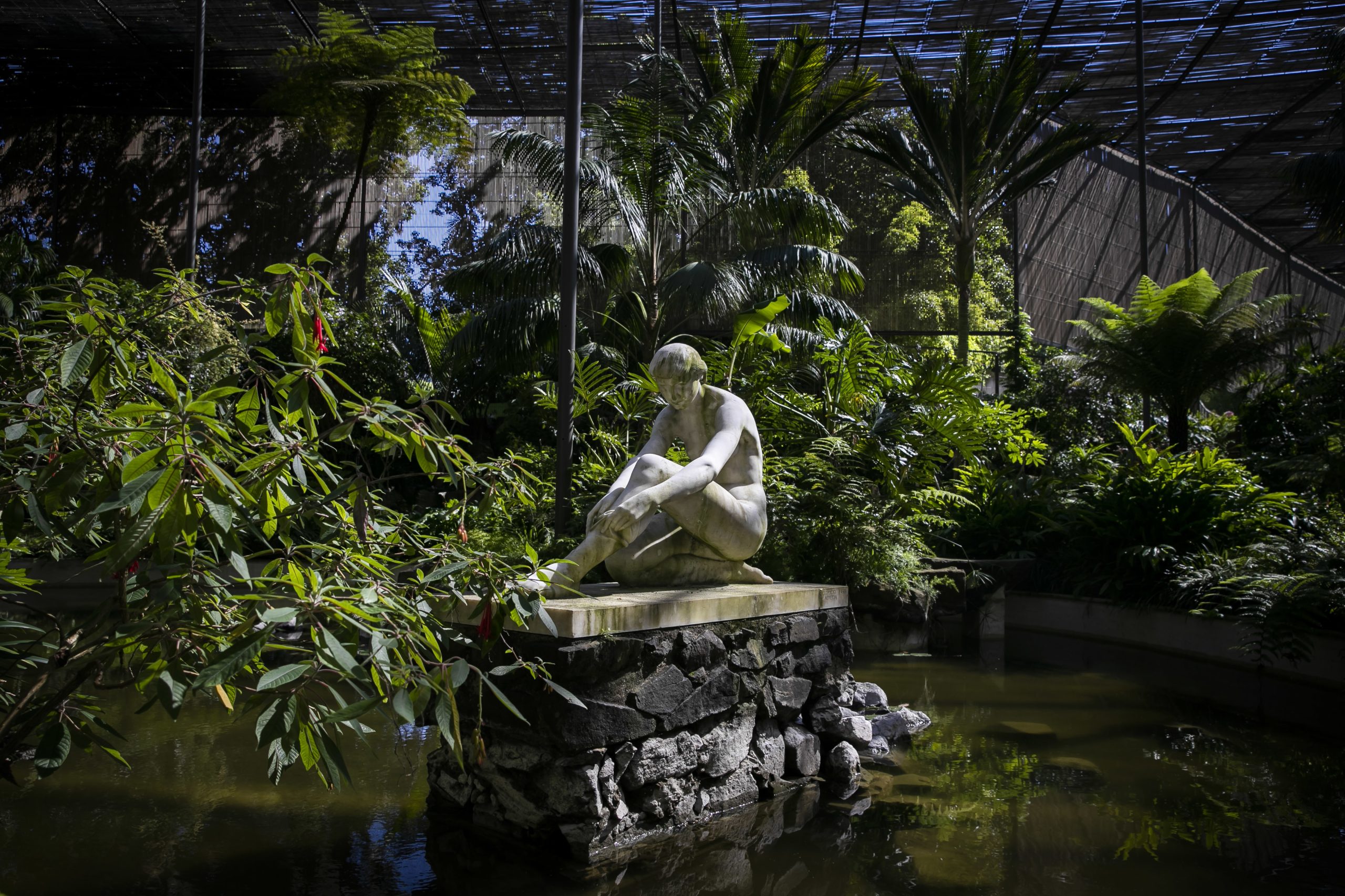 No meio do exotismo da Estufa Fria, em Lisboa, procura-se tranquilidade