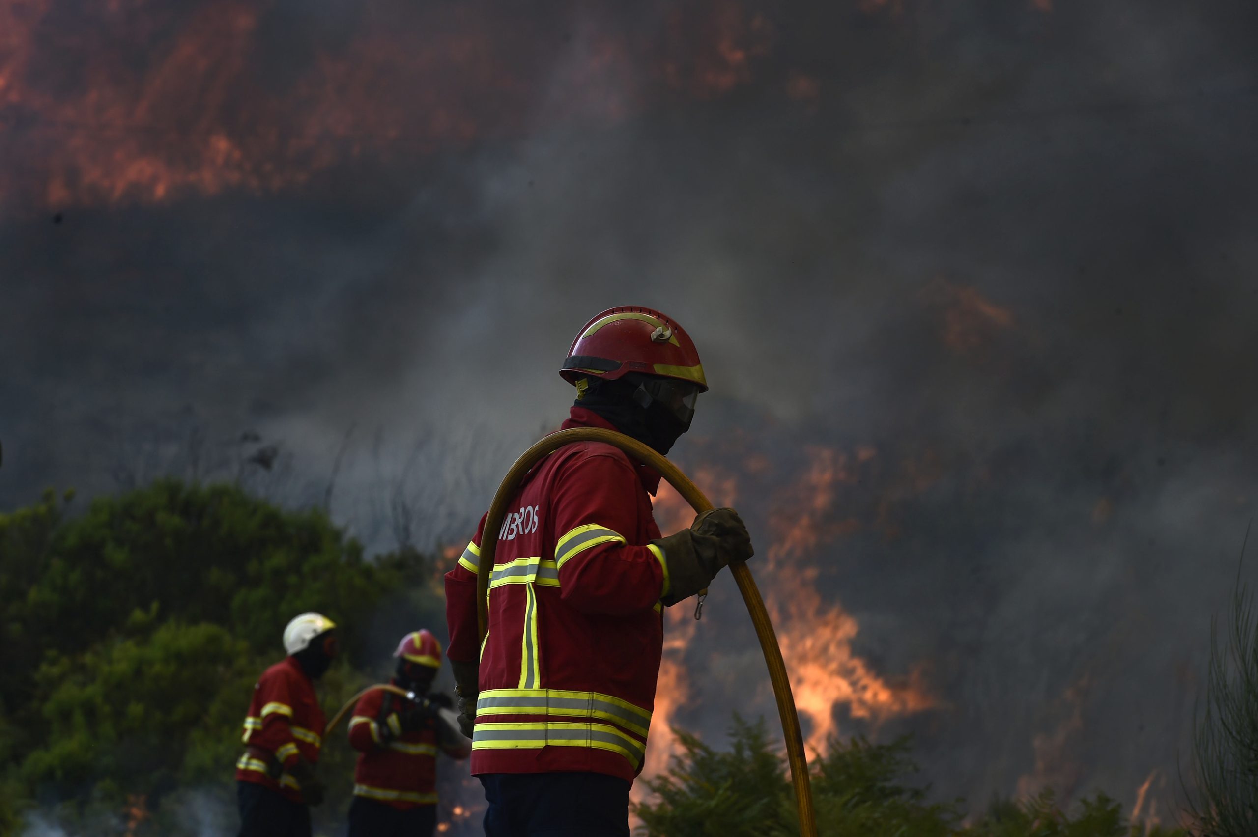 E depois do fogo? Há um ano as chamas lavravam por Arouca e S. Pedro do Sul