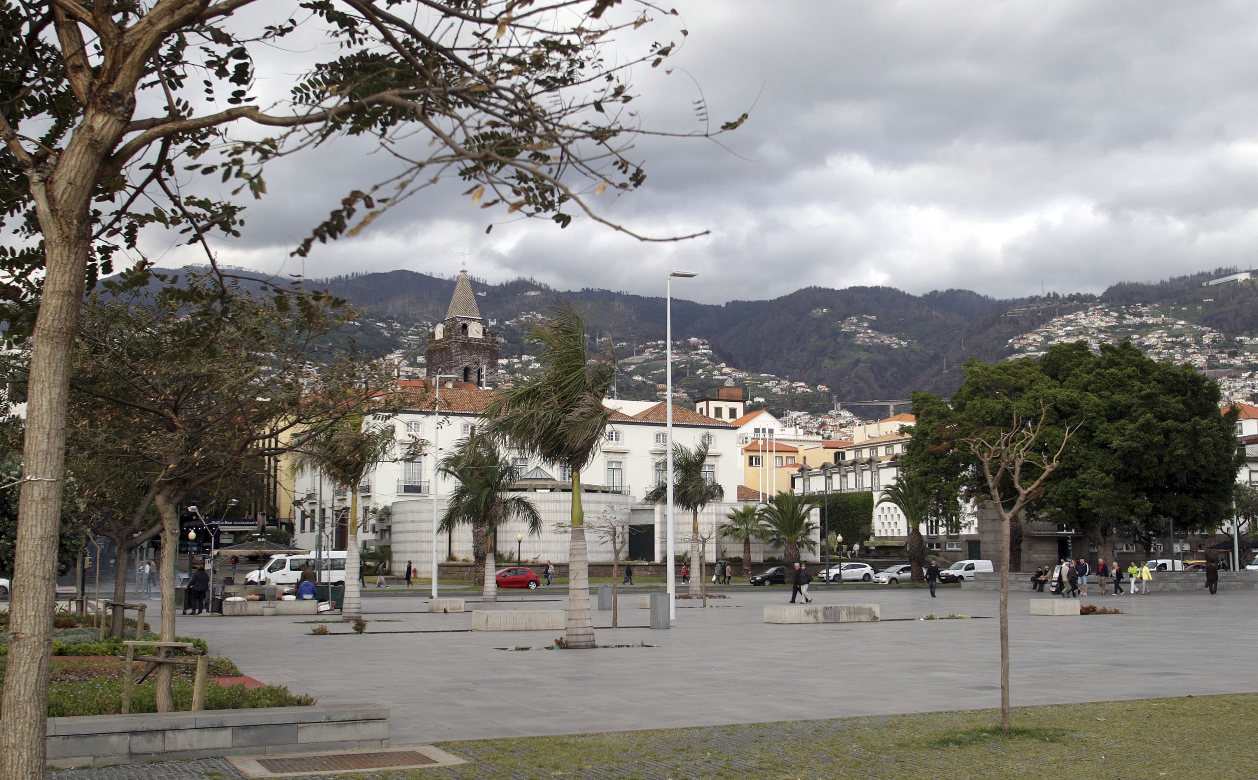 Rubina Leal (PSD) pergunta onde está a reabilitação da cidade do Funchal